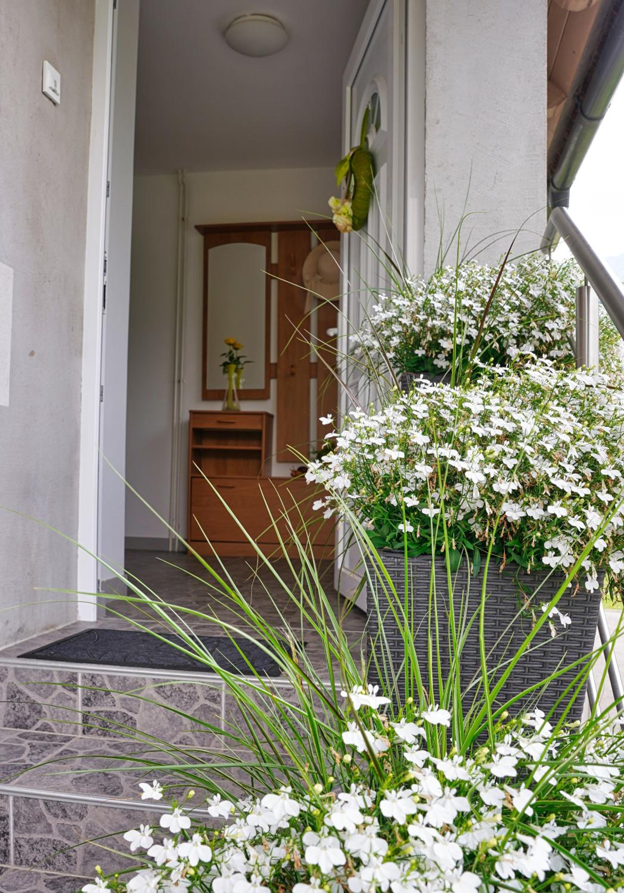 Apartma SIMONA view 5