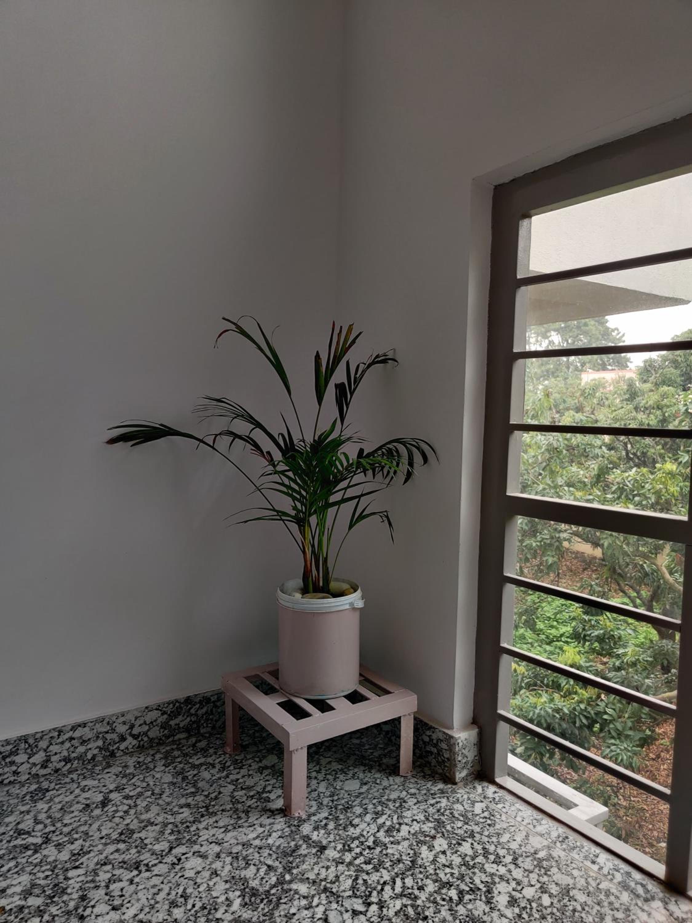 Vaikunth Homestay