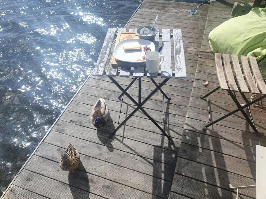 Traum am Wasser - romantische Erholung in Berlin