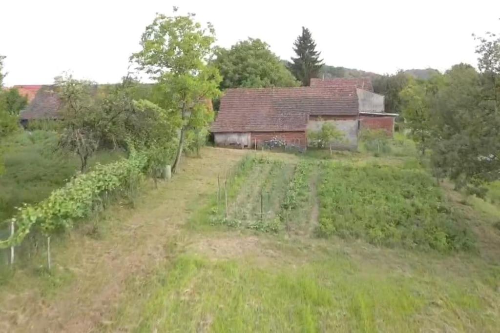 Photo 11