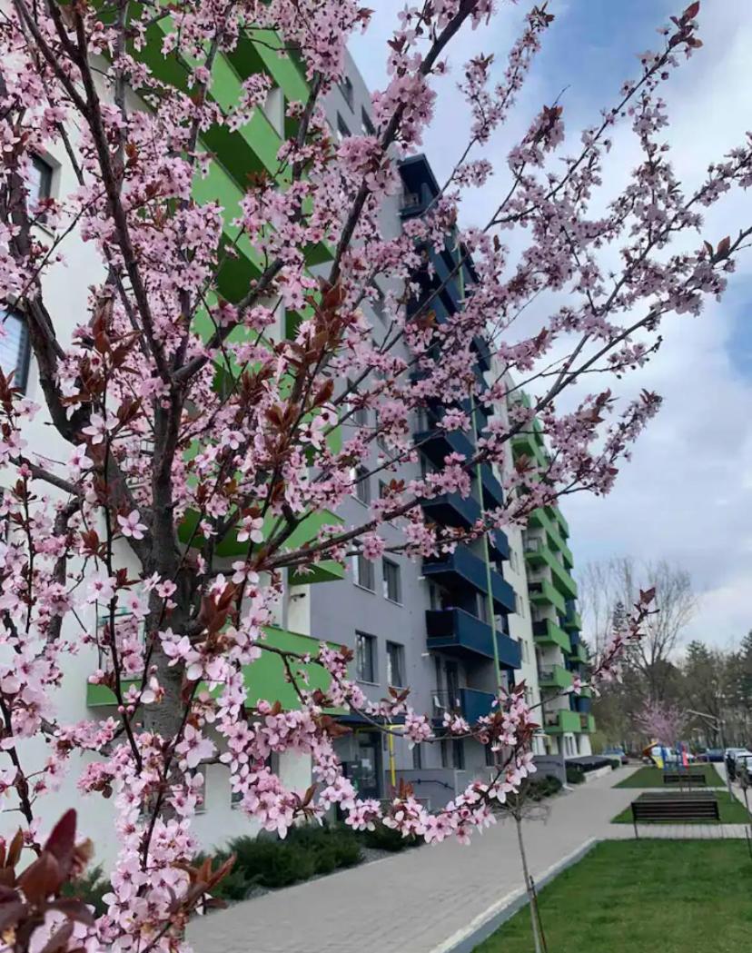 Modern studio located close to Iulius Mall - Cluj-Napoca view 2
