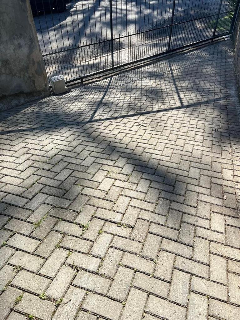 Photo 41