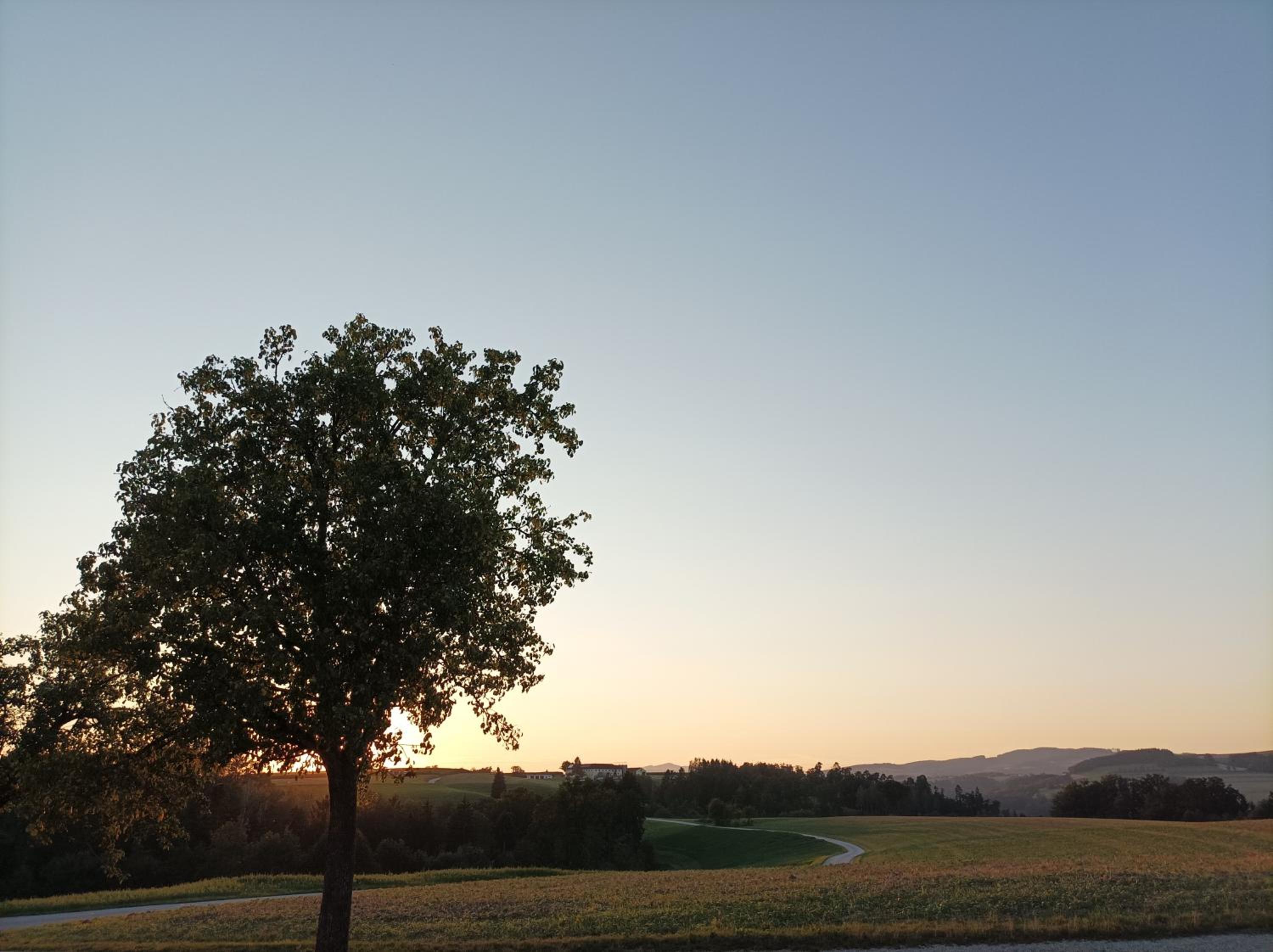 Wohnen im Grünen