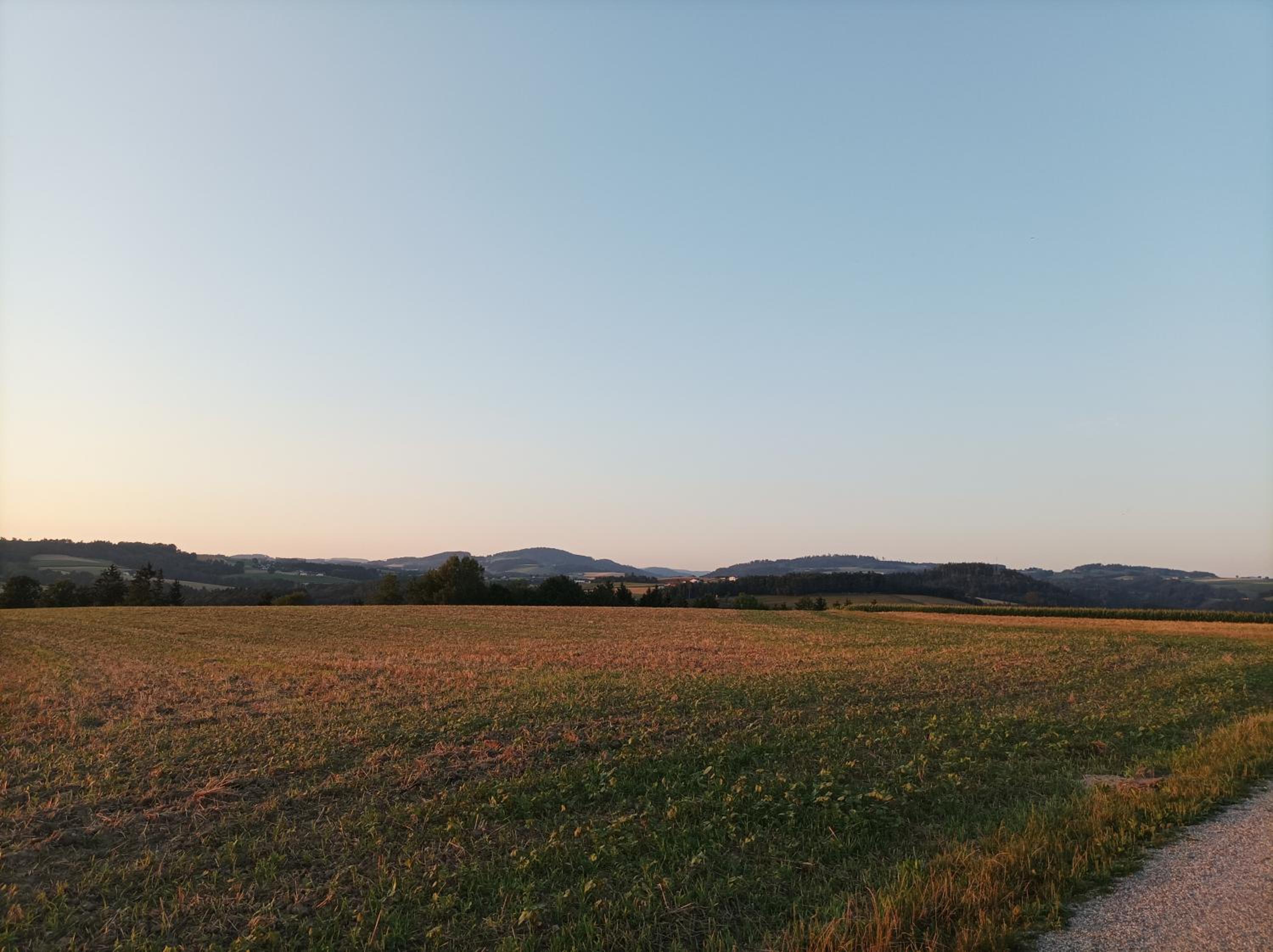 Wohnen im Grünen