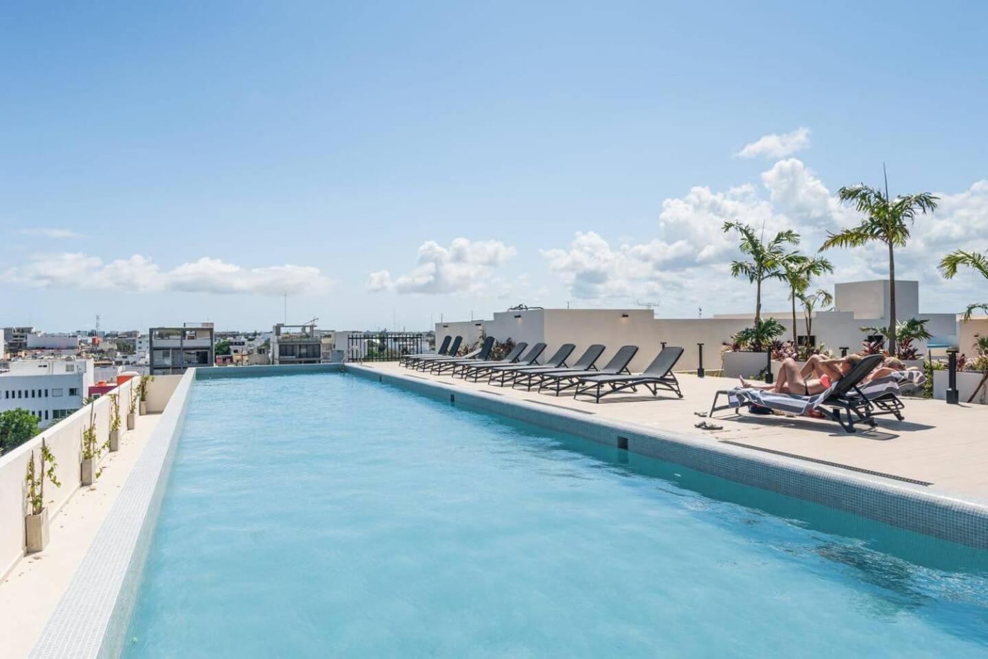 Beautiful brand new 1bd apt in the heart of Playa view 5