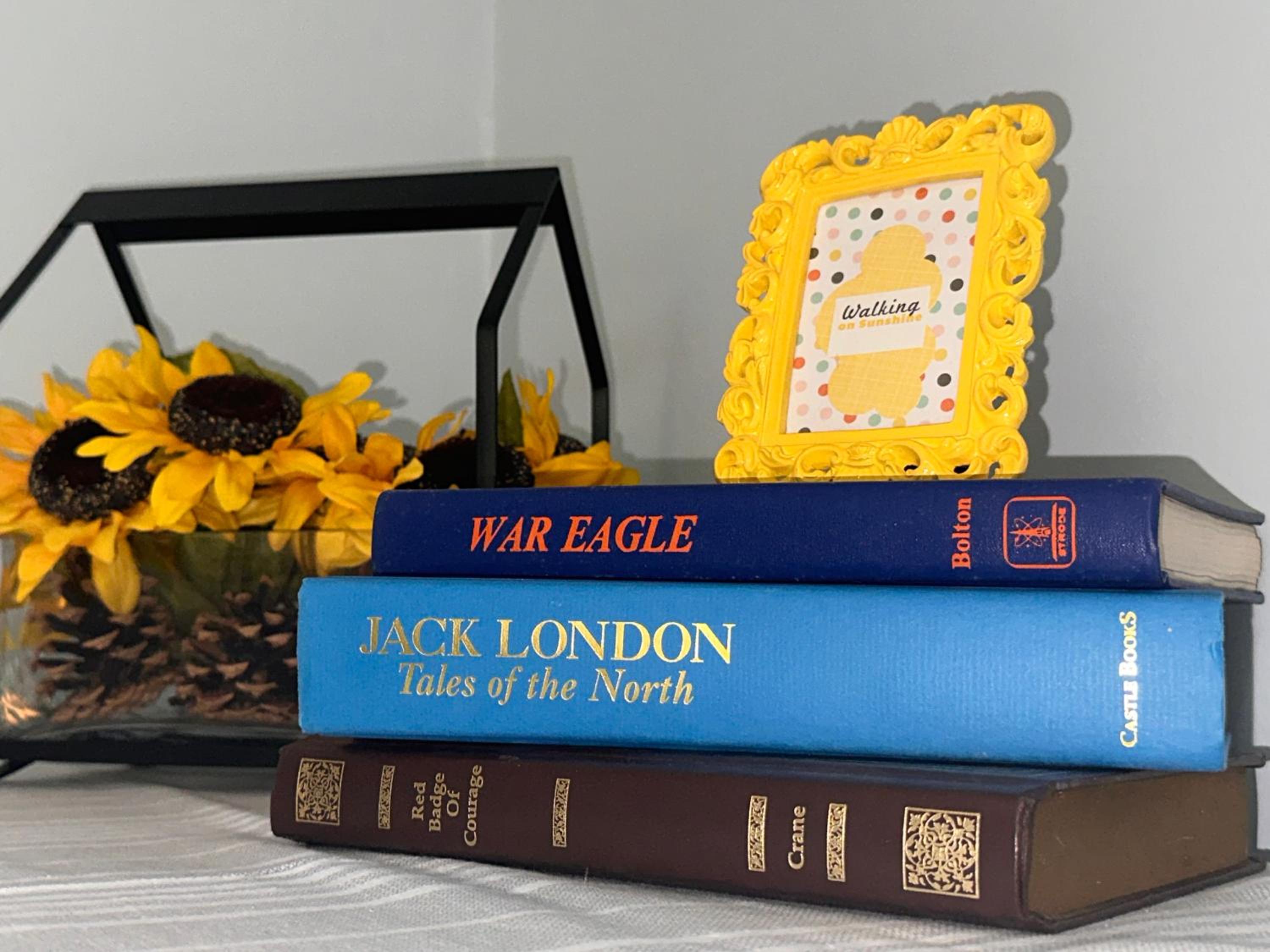 Laurel Vacations - Cici's Guest House - Property Image 11