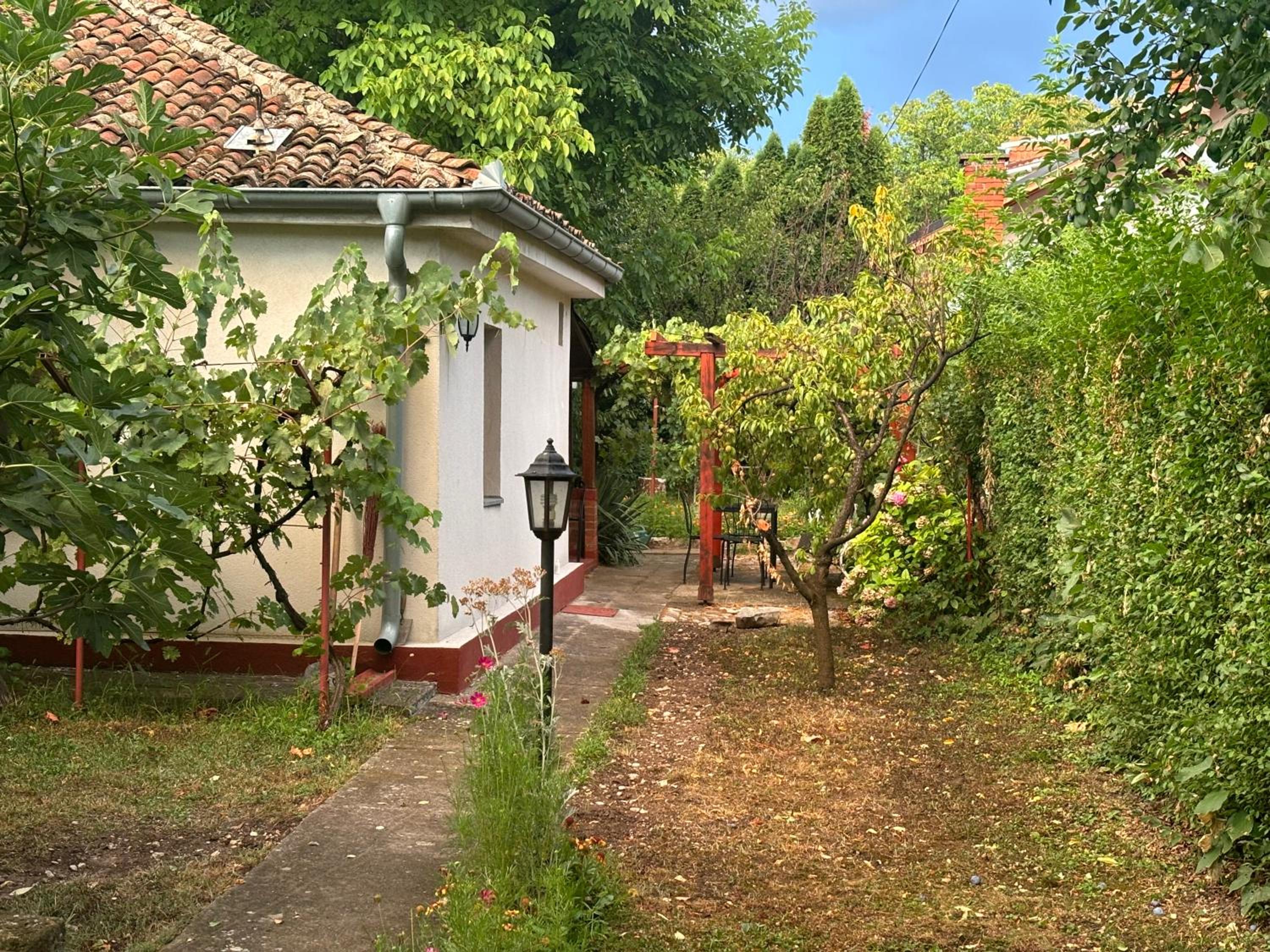 Photo 19