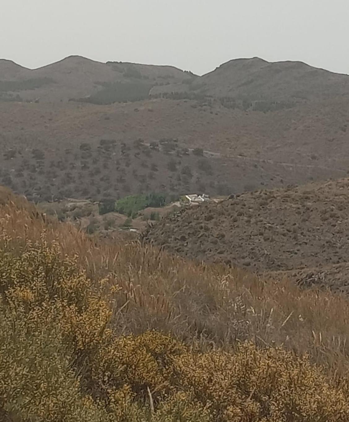 Cortijo Marchal seco