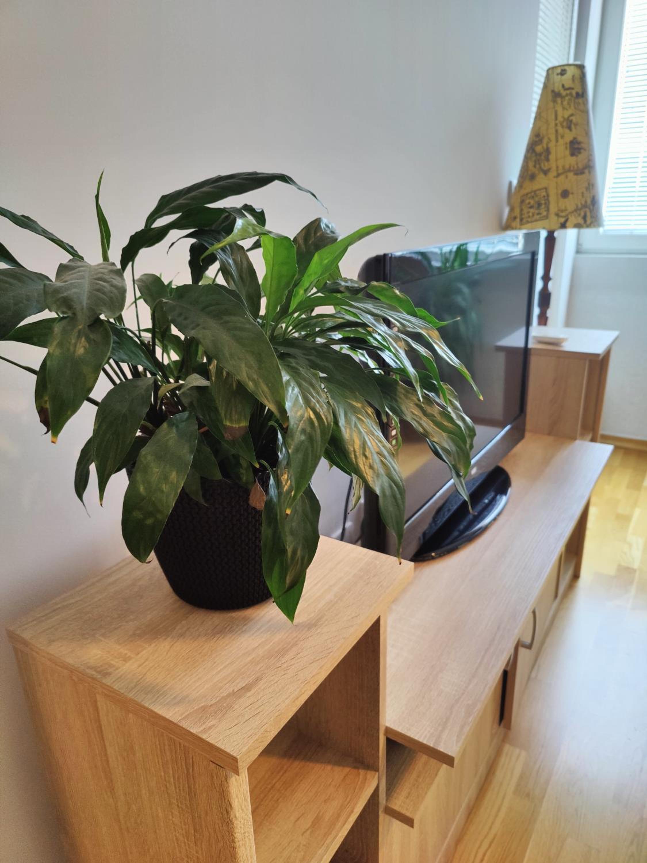 Apartman Aleksic