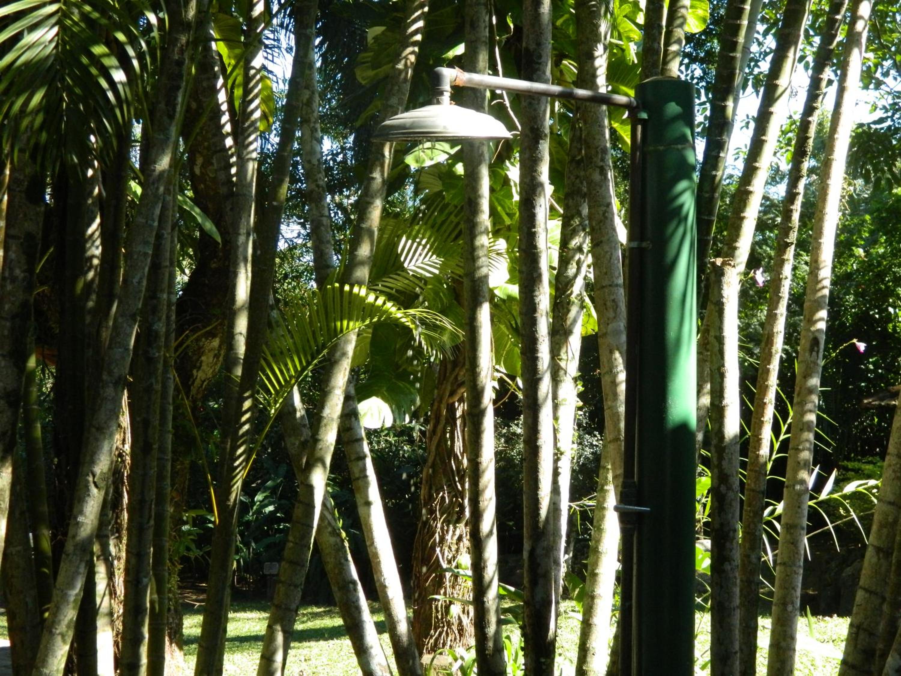 Casa em Condomínio na Mata Atlântica - Bioma