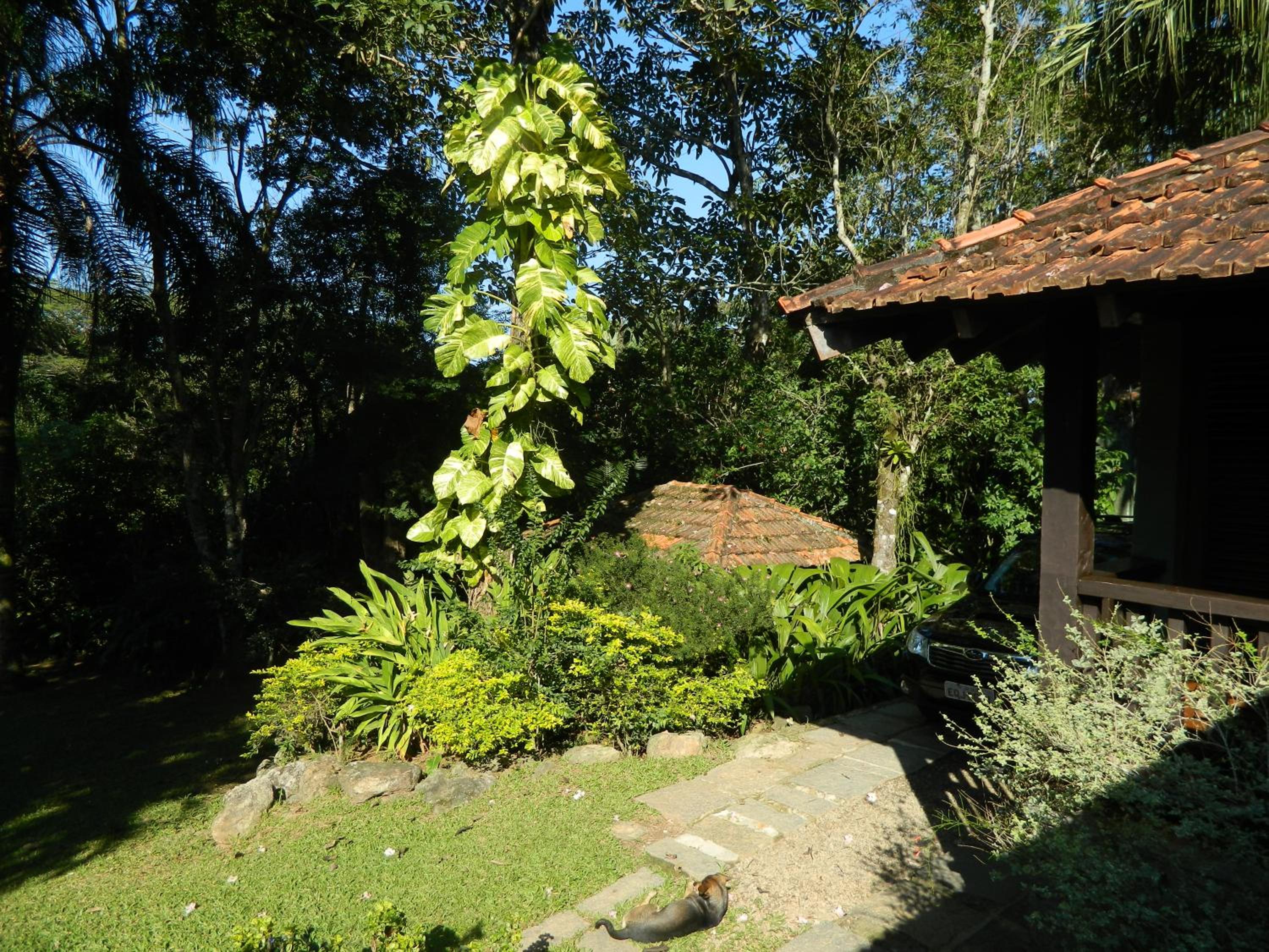 Casa em Condomínio na Mata Atlântica - Bioma