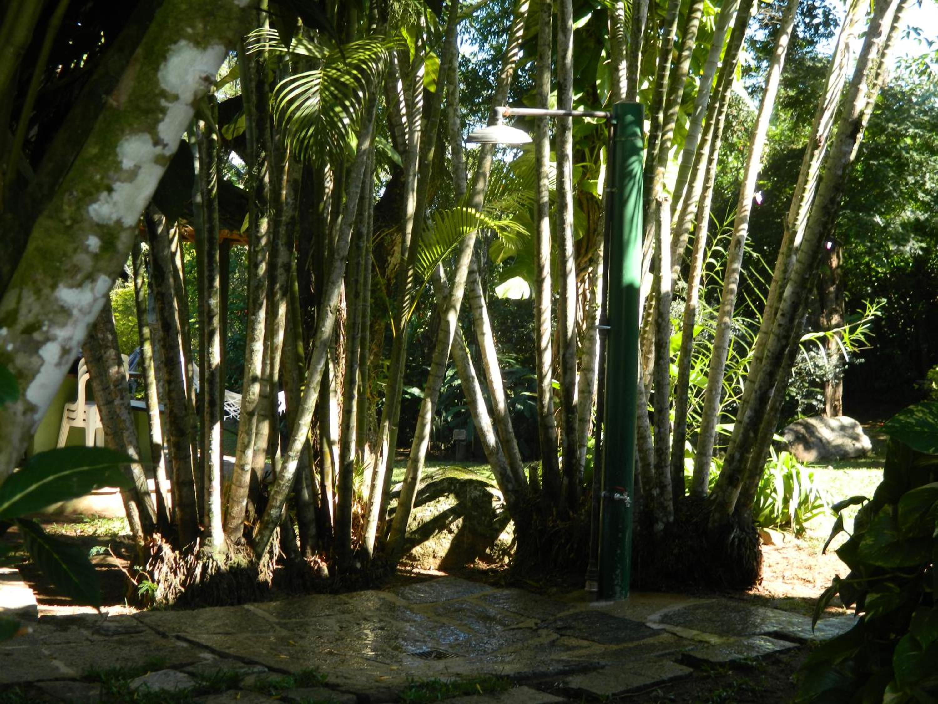 Casa em Condomínio na Mata Atlântica - Bioma