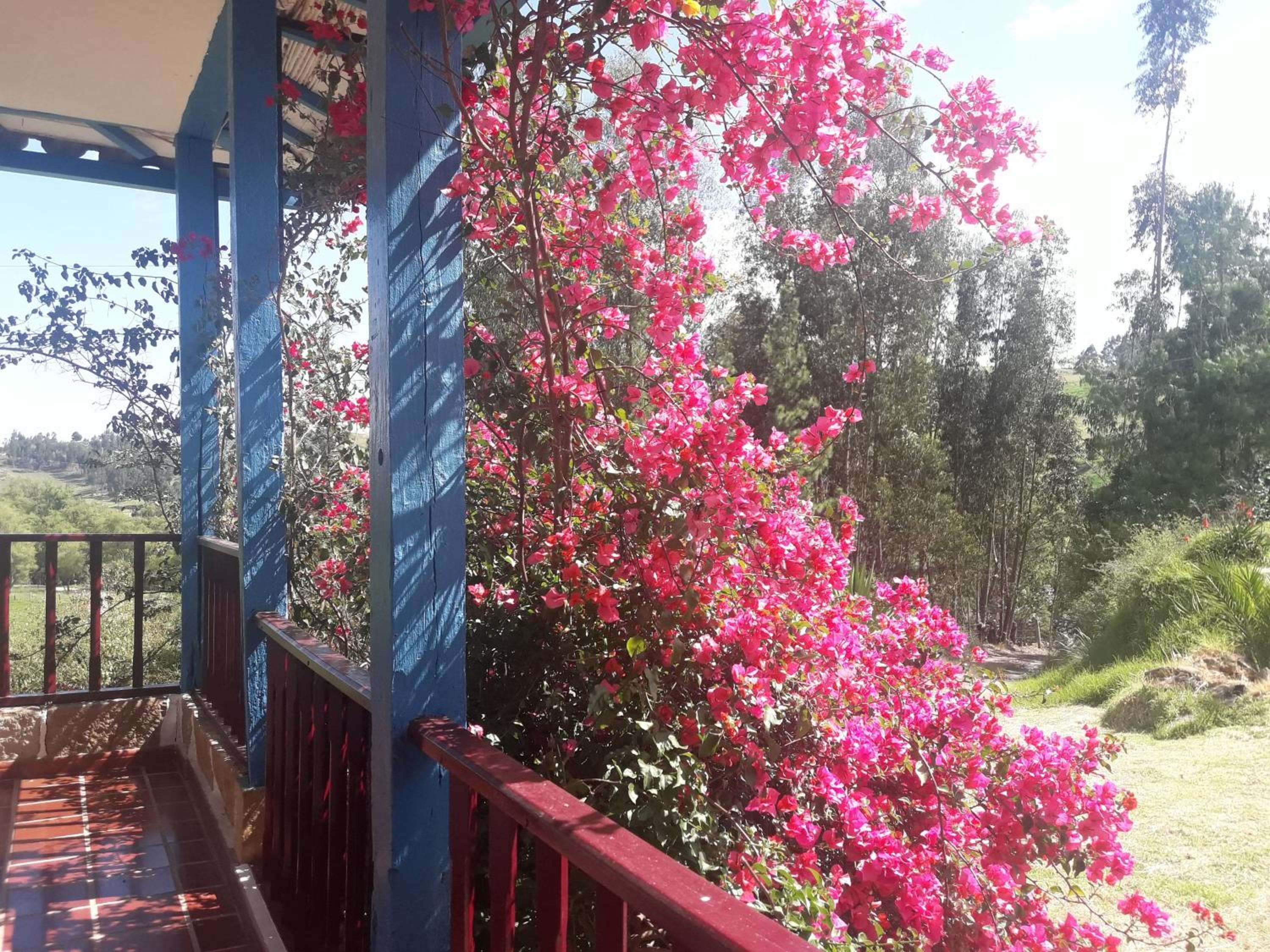 Casa Campestre SUANOGA