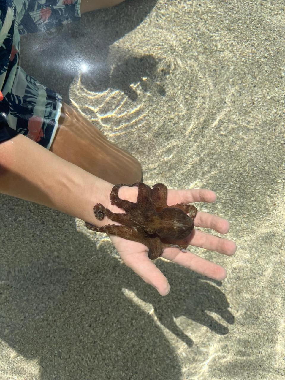 Ilha de Boipeba kitnets para temporada - Morada dos Pássaros Boipeba