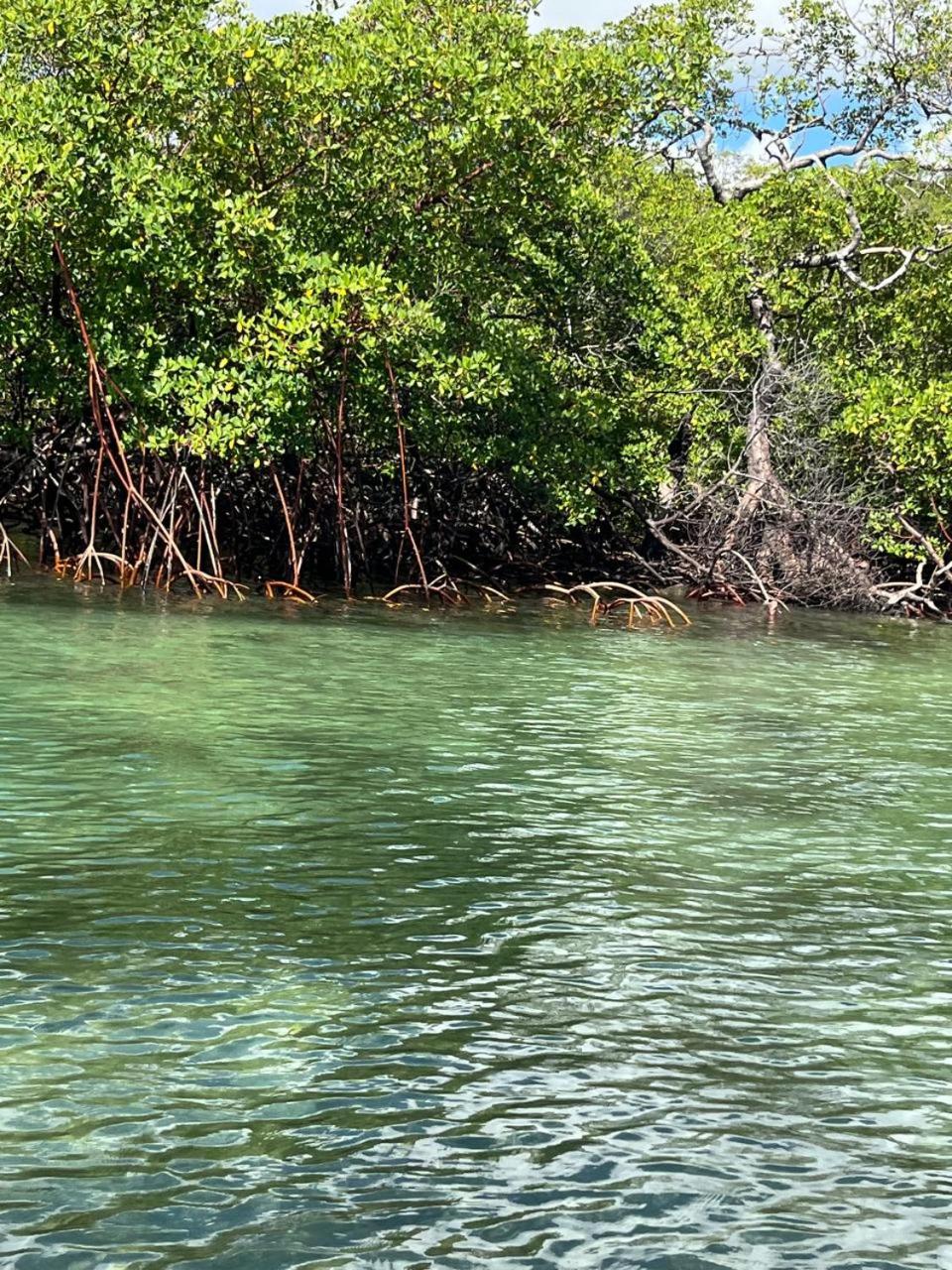 Ilha de Boipeba kitnets para temporada - Morada dos Pássaros Boipeba