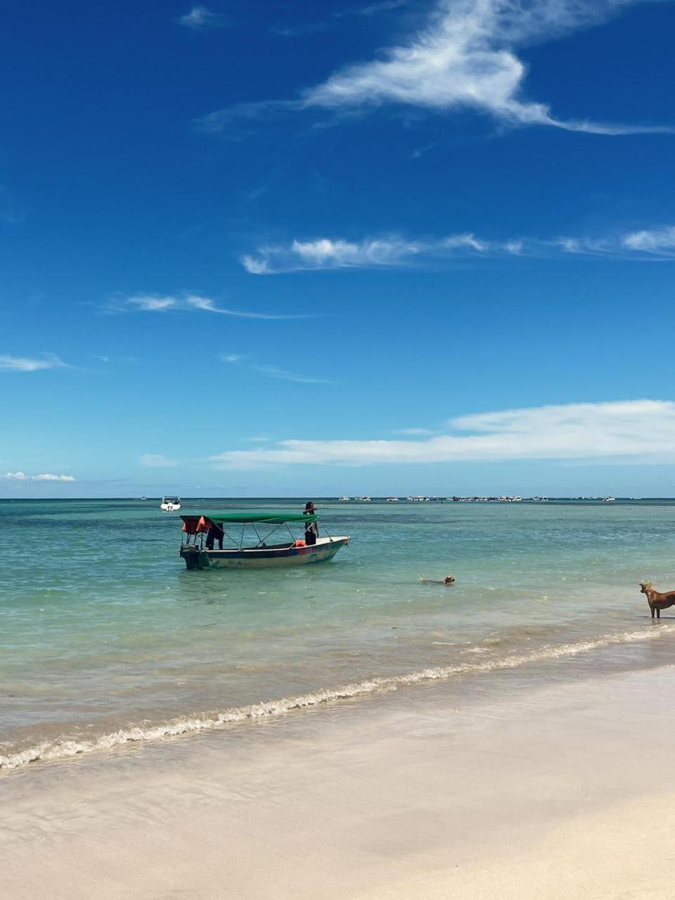 Ilha de Boipeba kitnets para temporada - Morada dos Pássaros Boipeba
