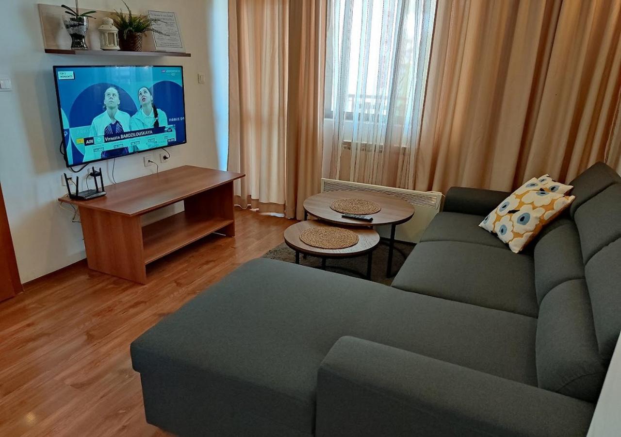 Family 2 bed Apartment in Bansko view 5