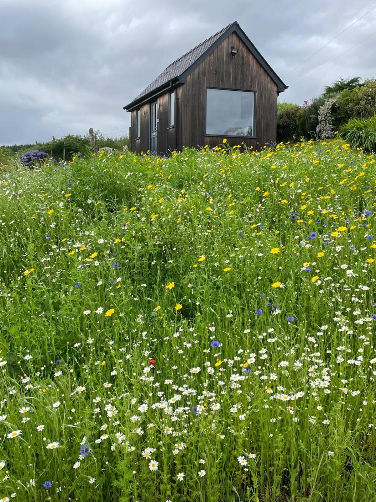 Elfin Cottage view 3