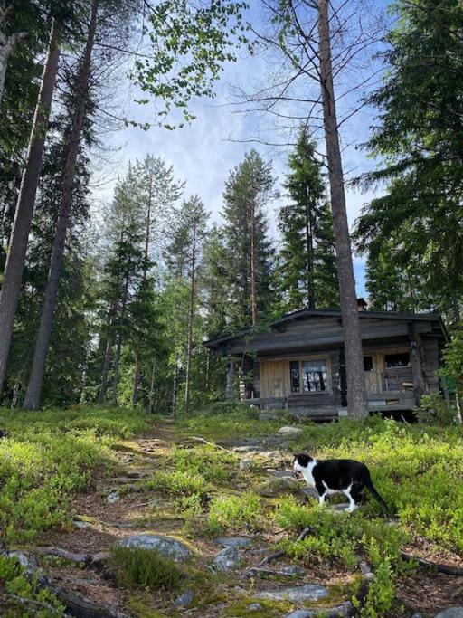 Simojärvi Lake House - 1h 20m from Rovaniemi City - Omakotitalo Simojärvellä