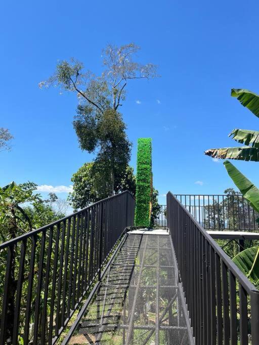 Cabaña Tucanes