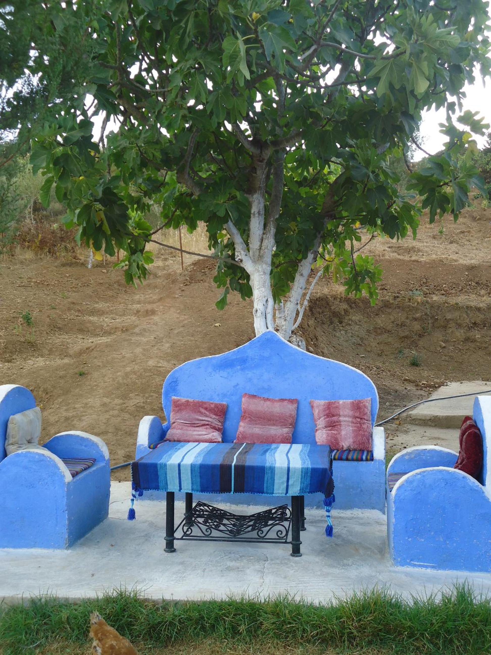 Casa Cherif view 2