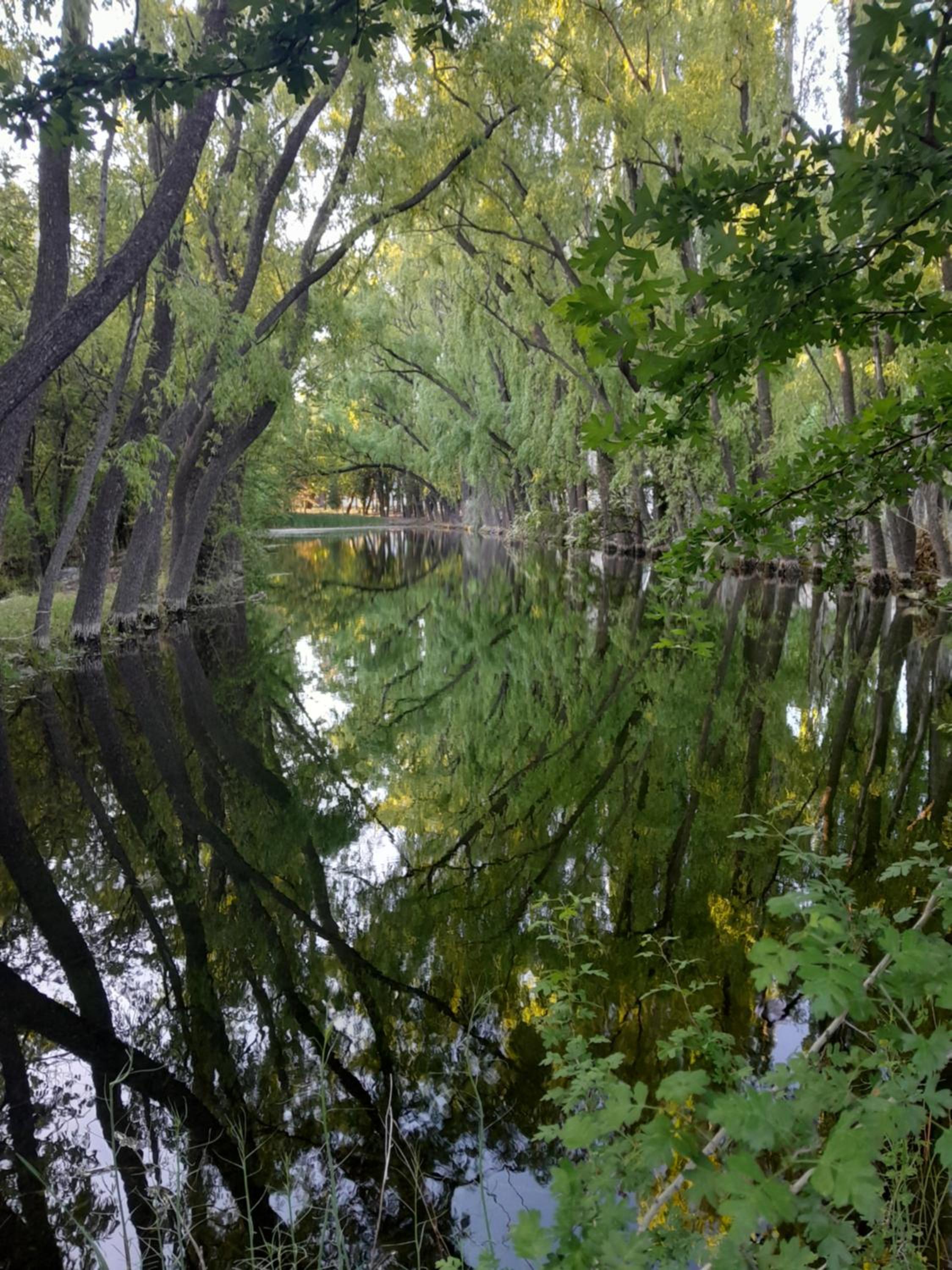 La Venecia Cabañas