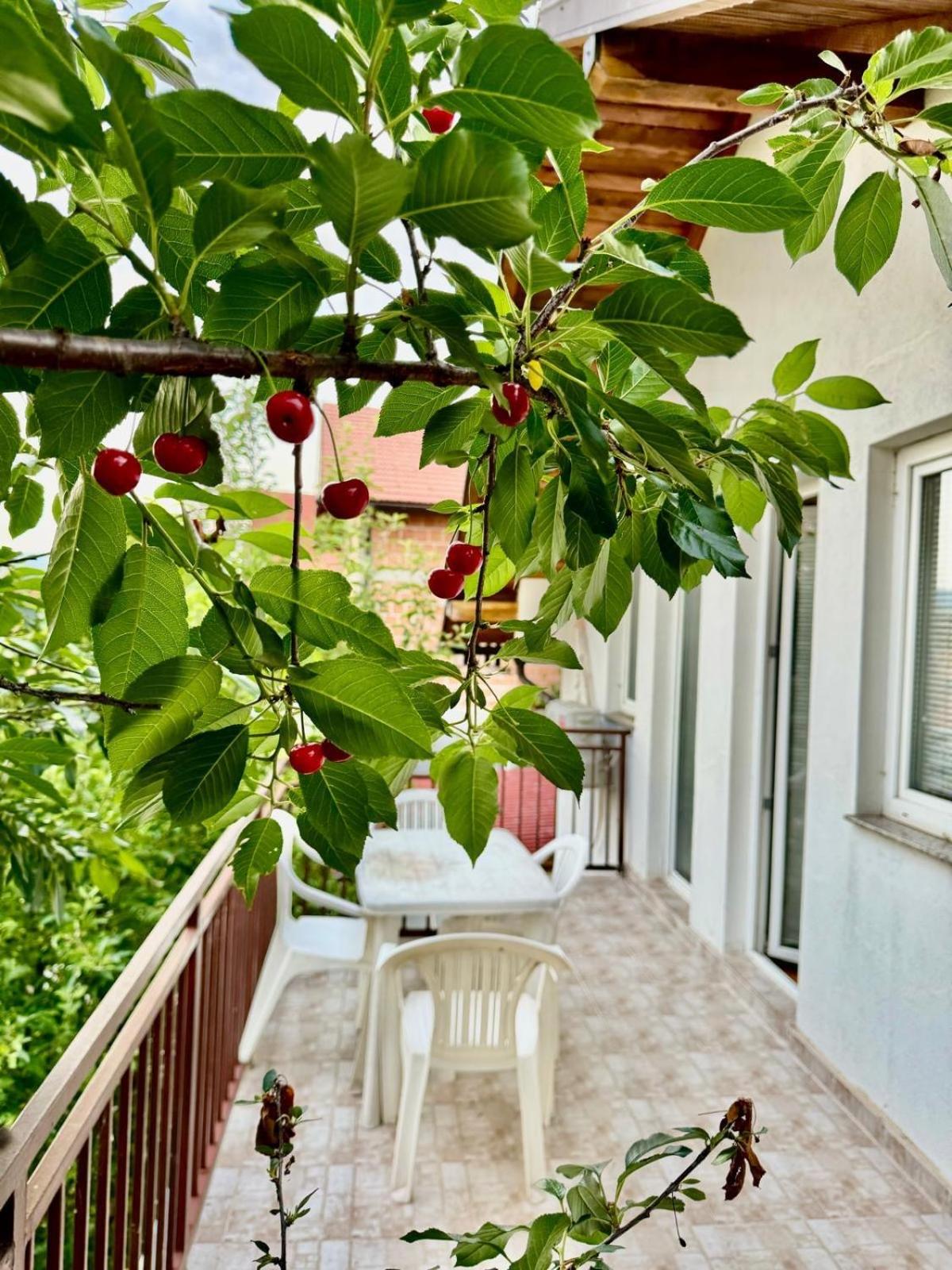 Vila Bella