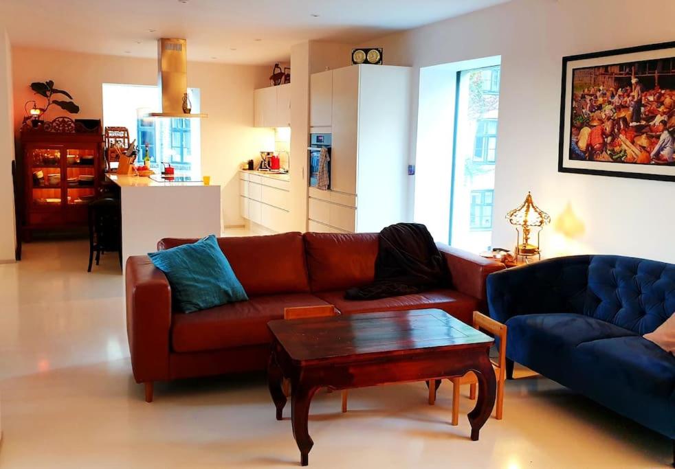 Norrebro Oasis Home - WITH 2 CATS - FAMILIES ONLY