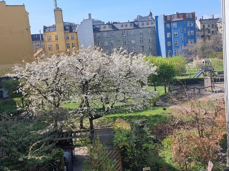 Norrebro Oasis Home - WITH 2 CATS - FAMILIES ONLY
