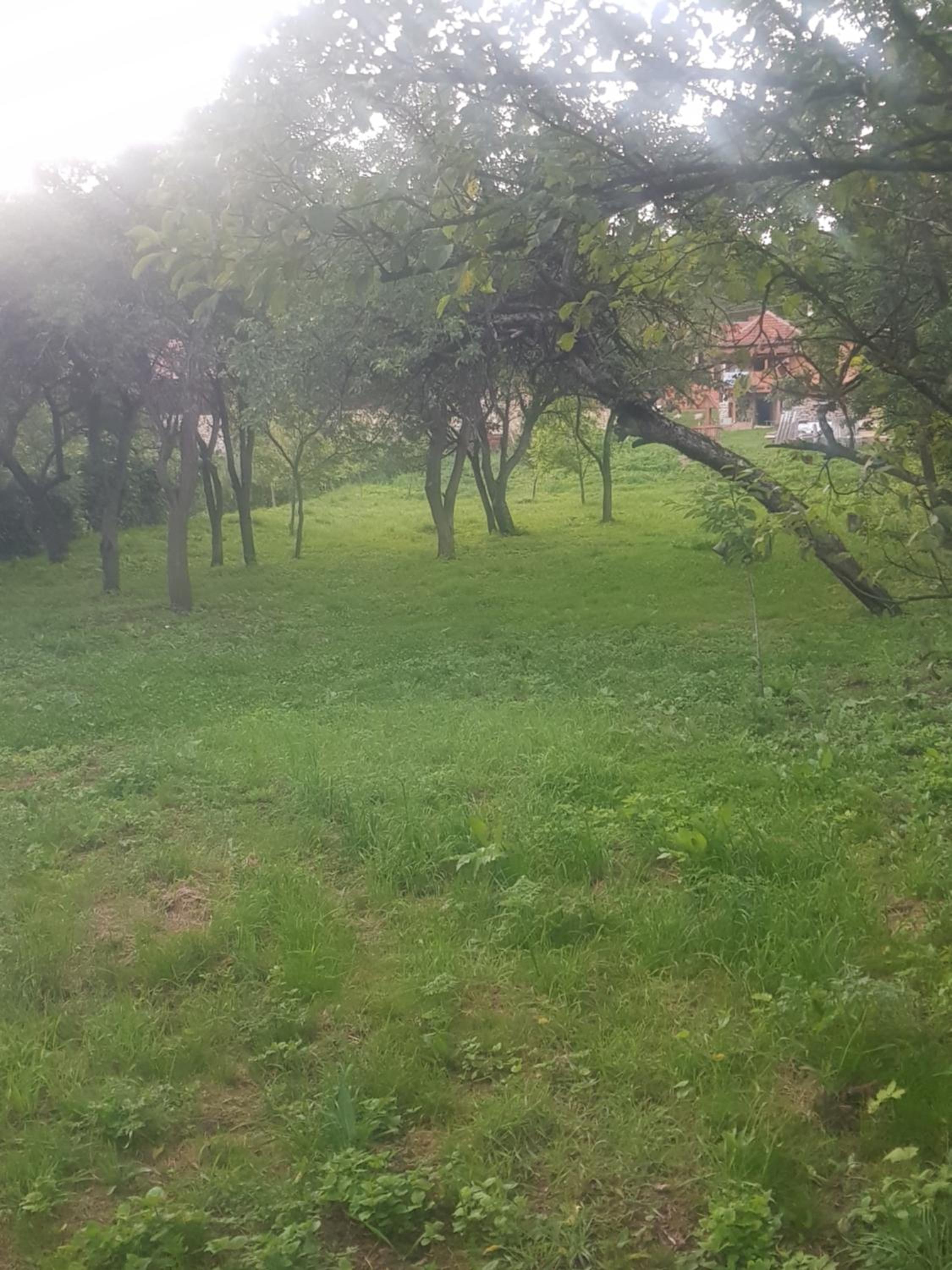 Photo 43