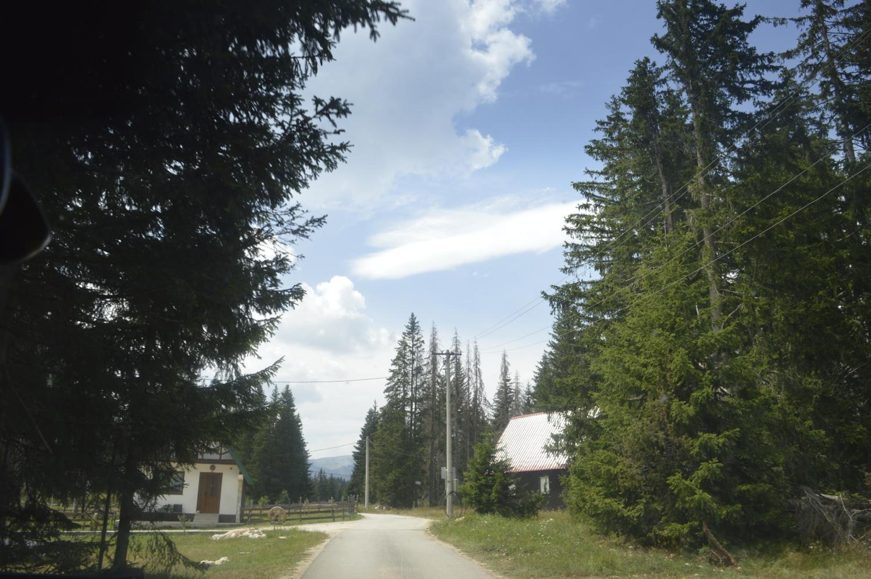 Photo 56