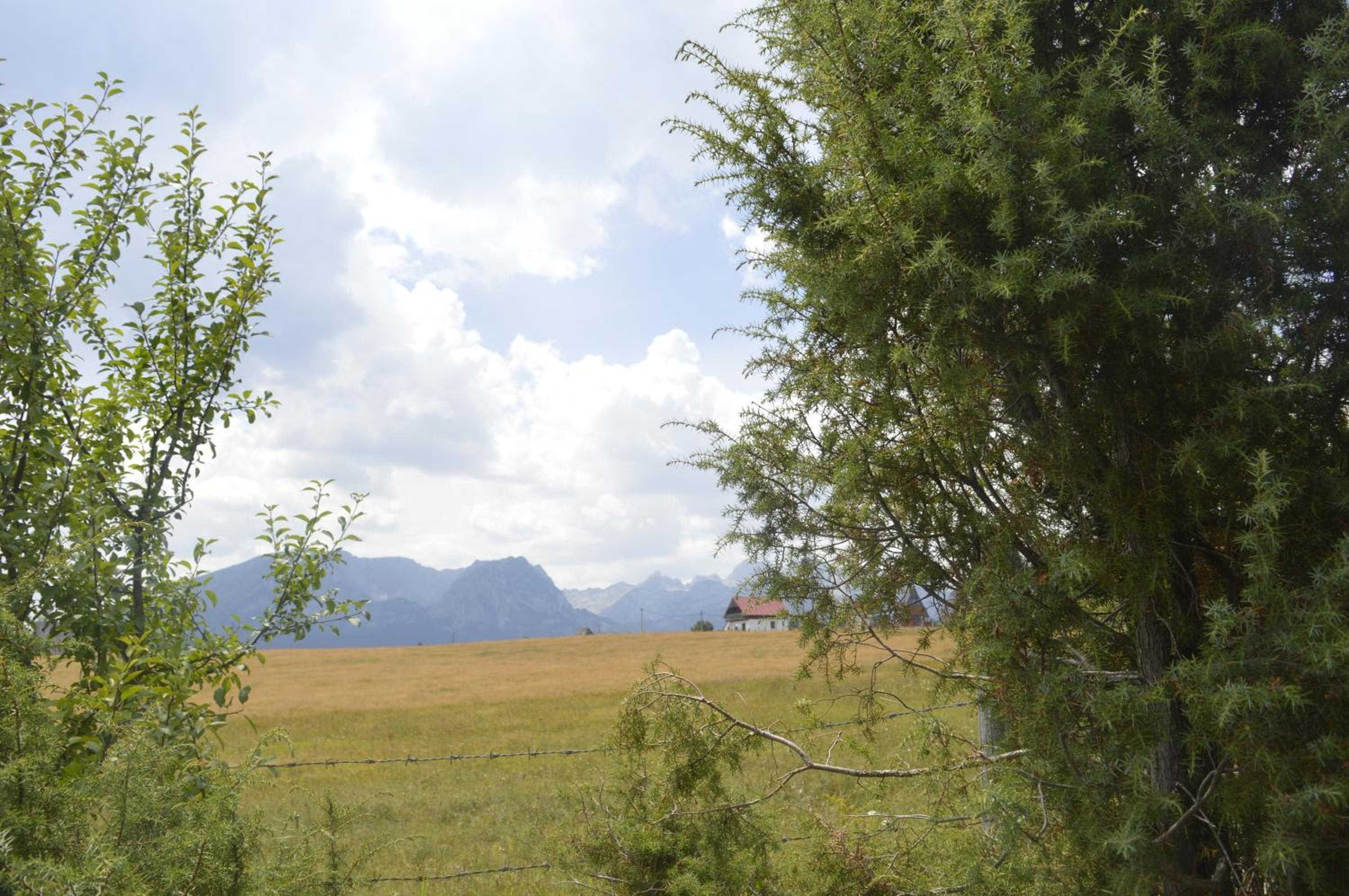 Photo 24