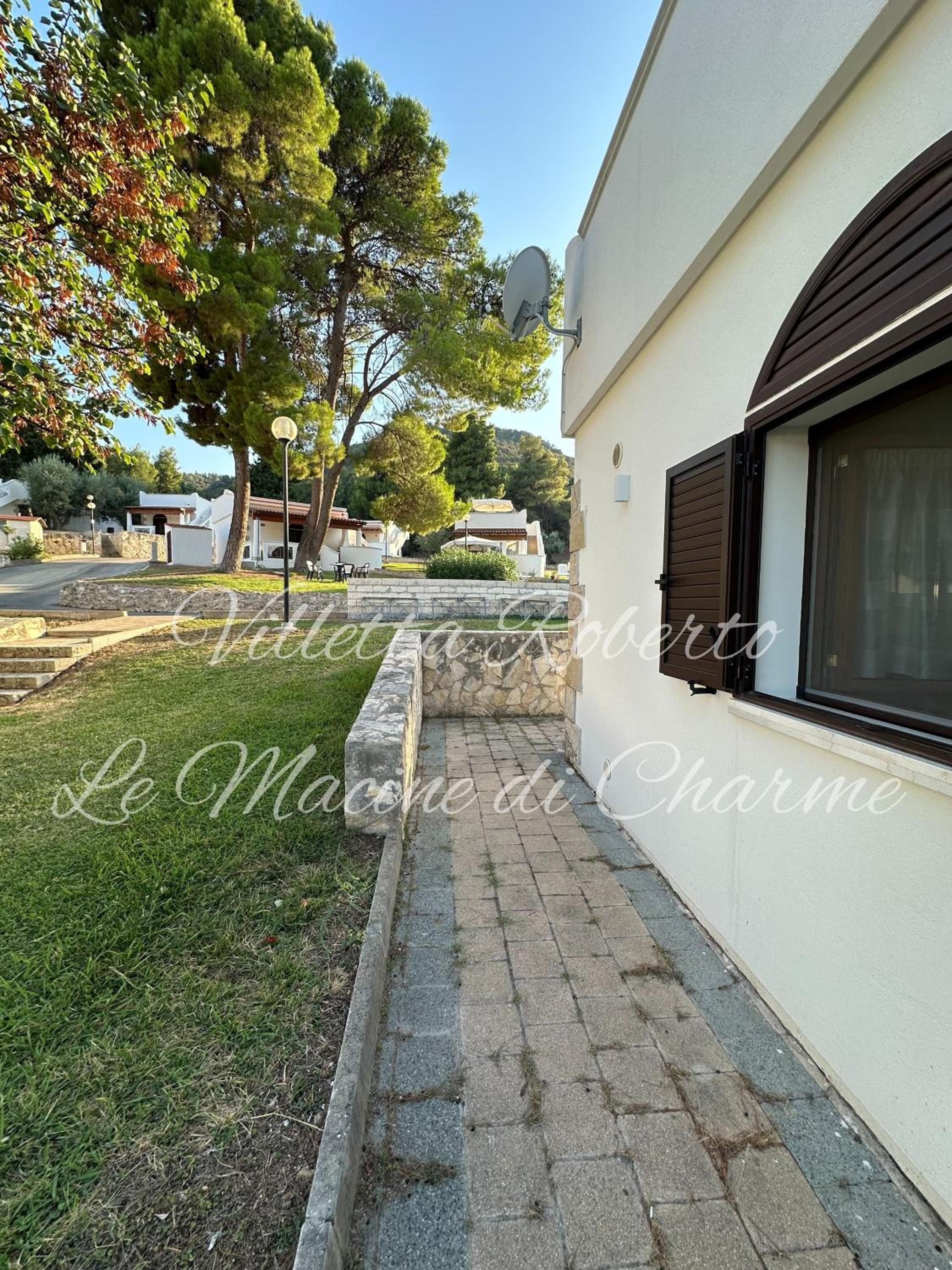 Photo 46