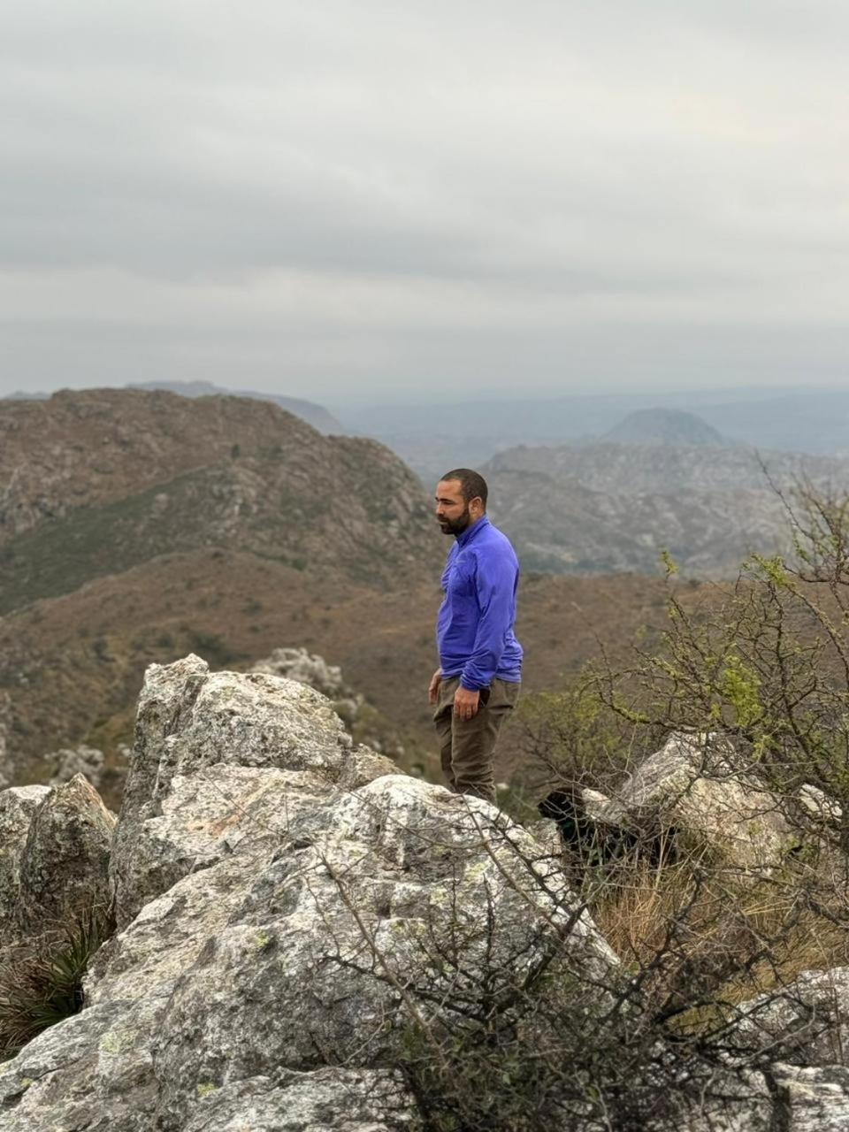 Modo Monte