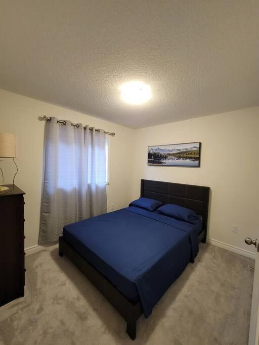 New Family Friendly Detached Home in Courtice