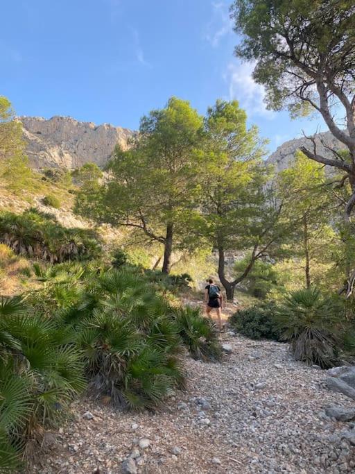 Photo 48