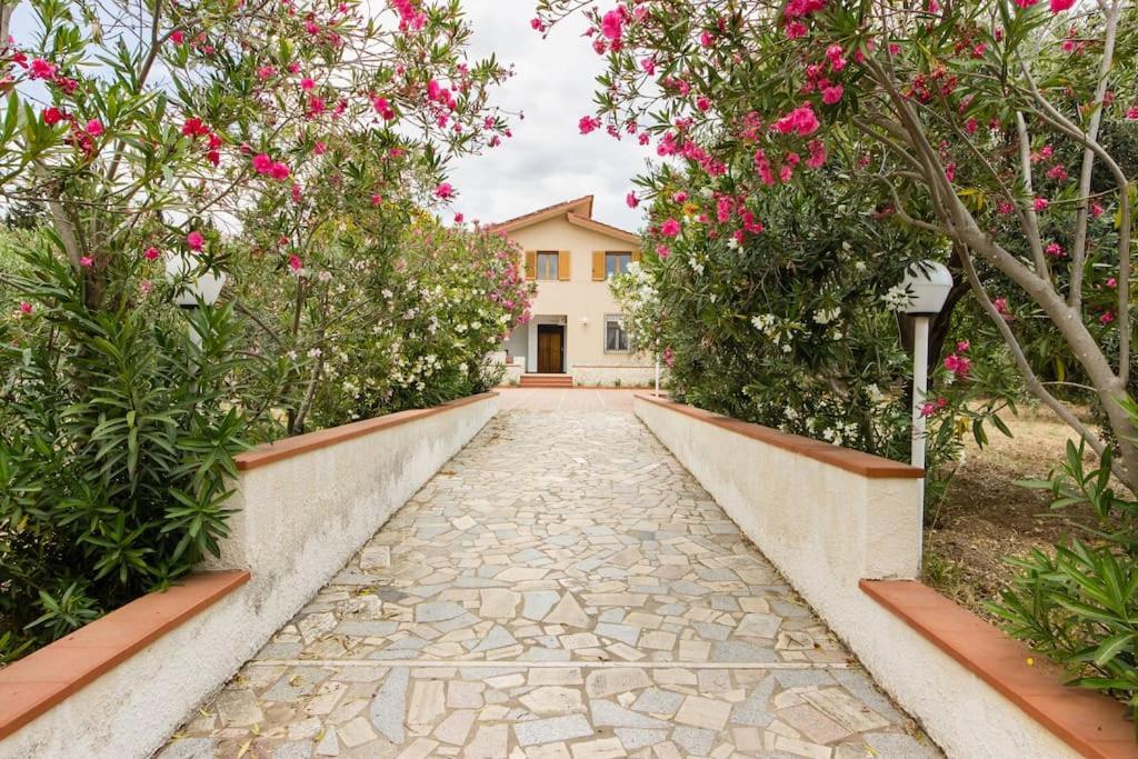 Villa degli Ulivi - Garden view 2