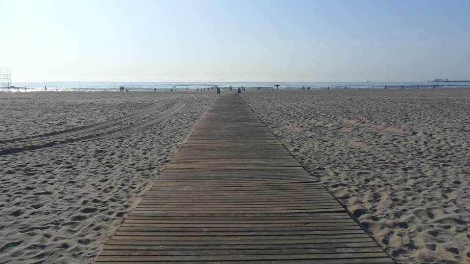 Mediterrania Moliner A