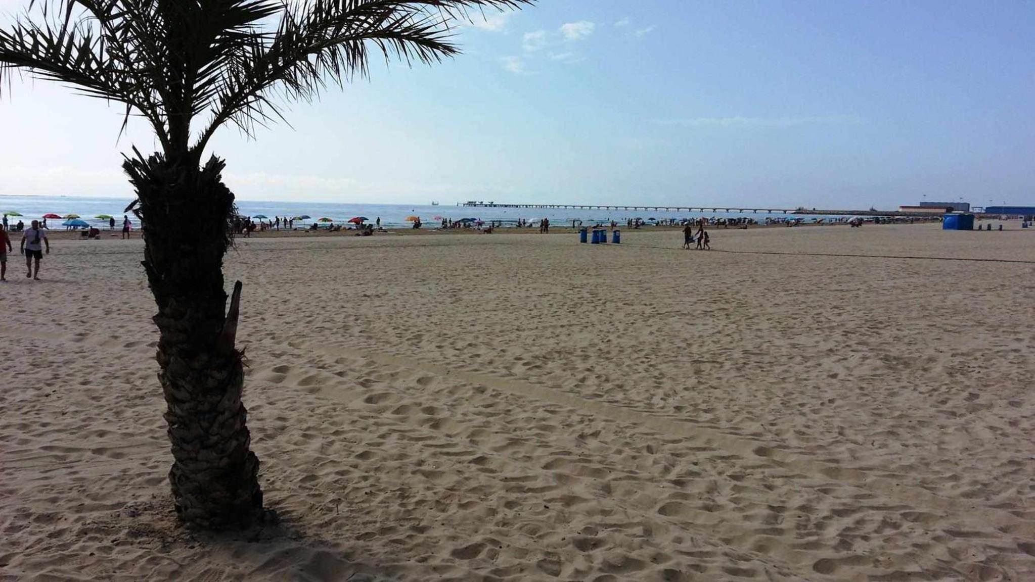 Mediterrania Moliner A