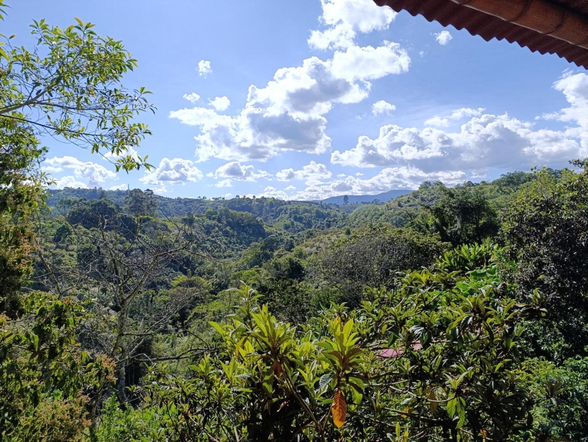 Cabaña Ecológica Finca Cometa