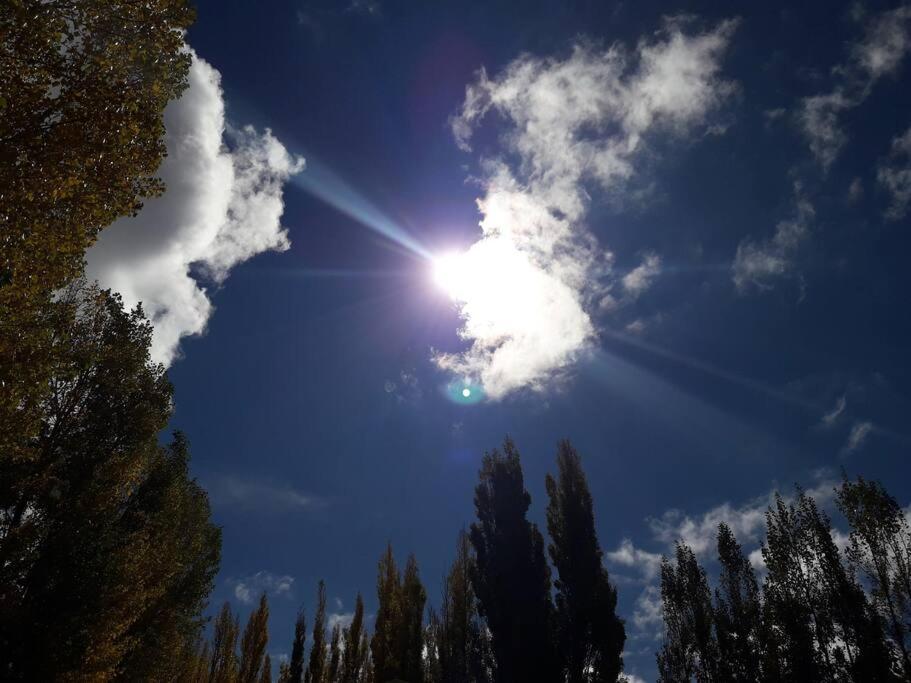 Bosque de Sol cabaña 1