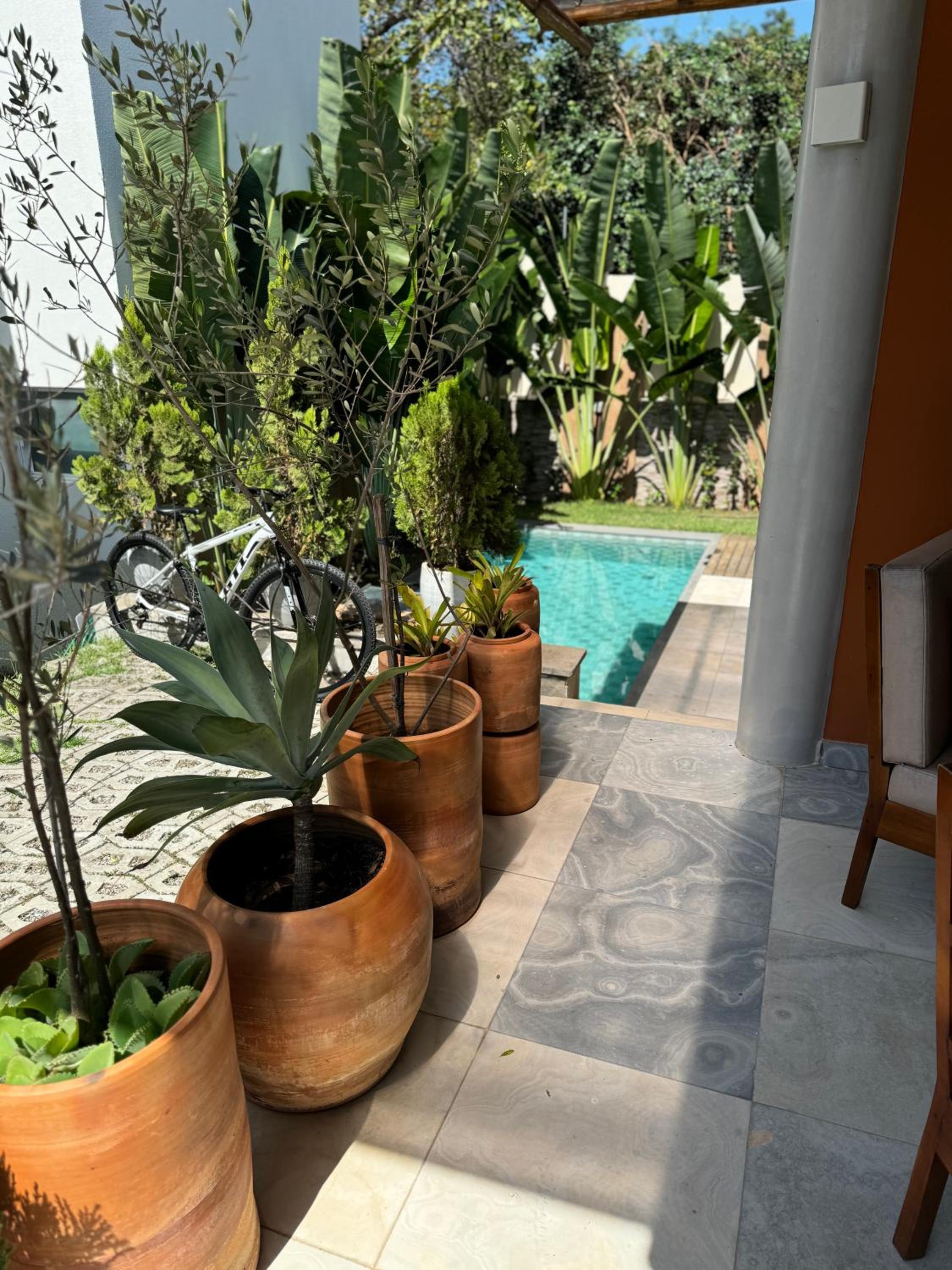 Casa Flamingos - by Pipa Praia House