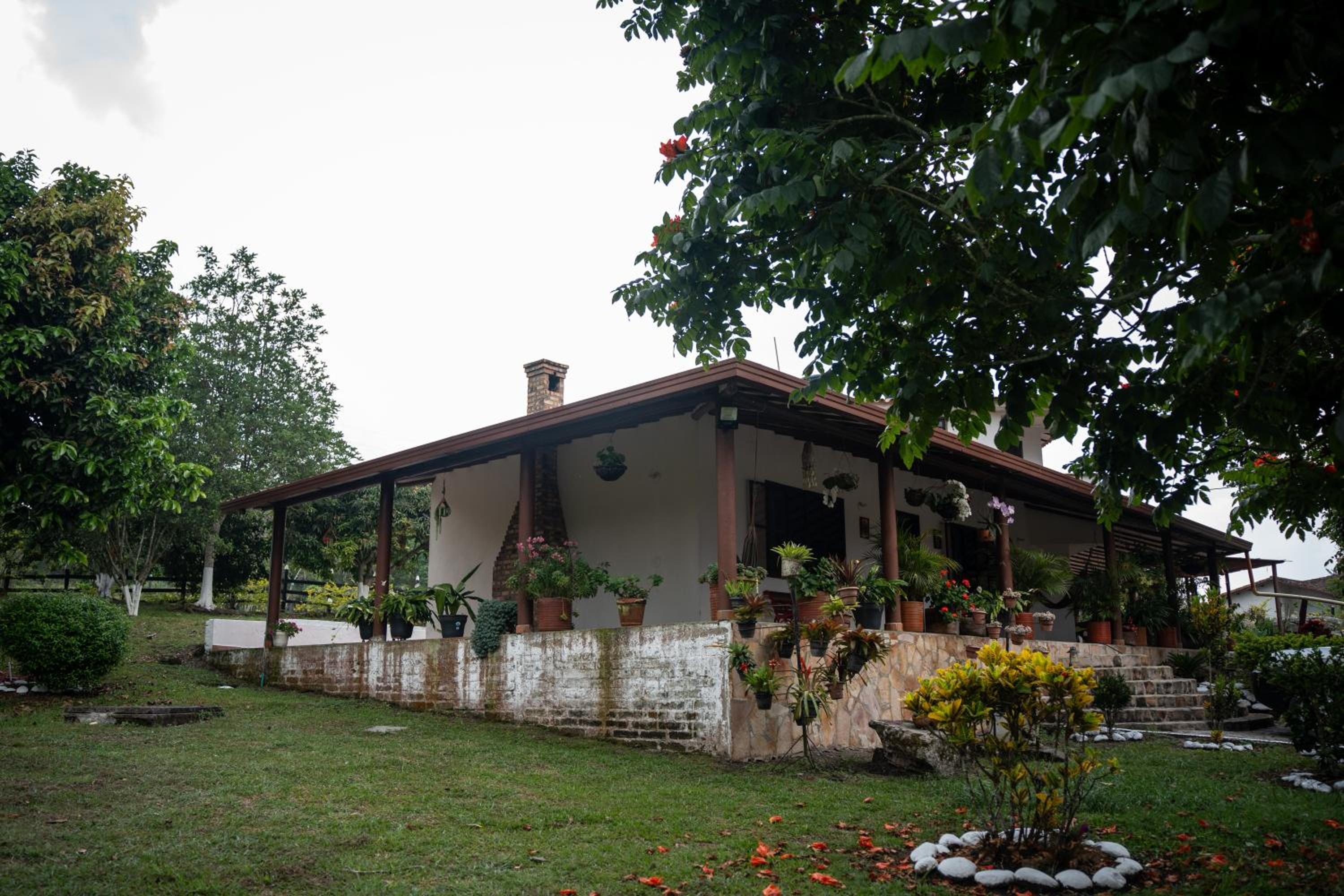 Villa Lis