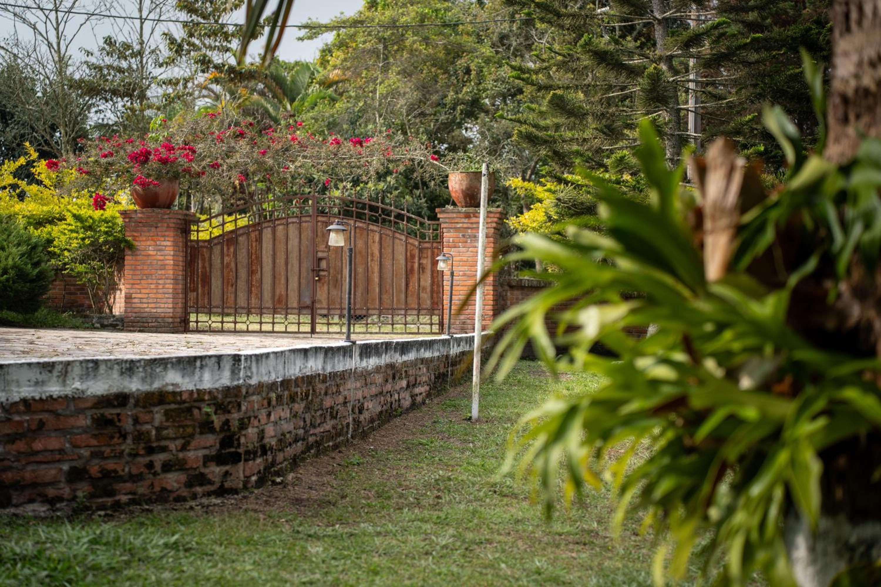 Villa Lis