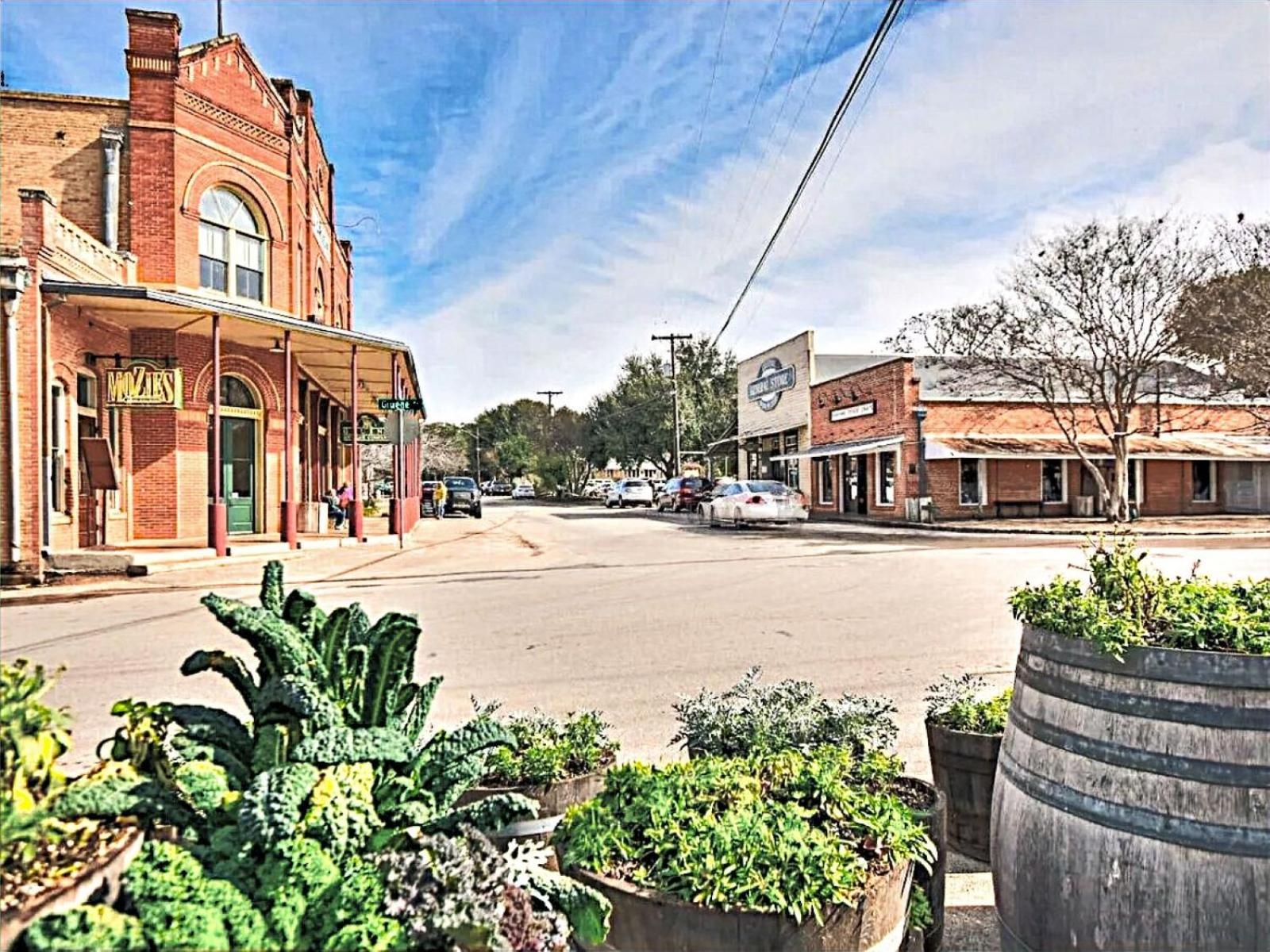 Riverscape Townhome B, Steps to Gruene Hall! view 5
