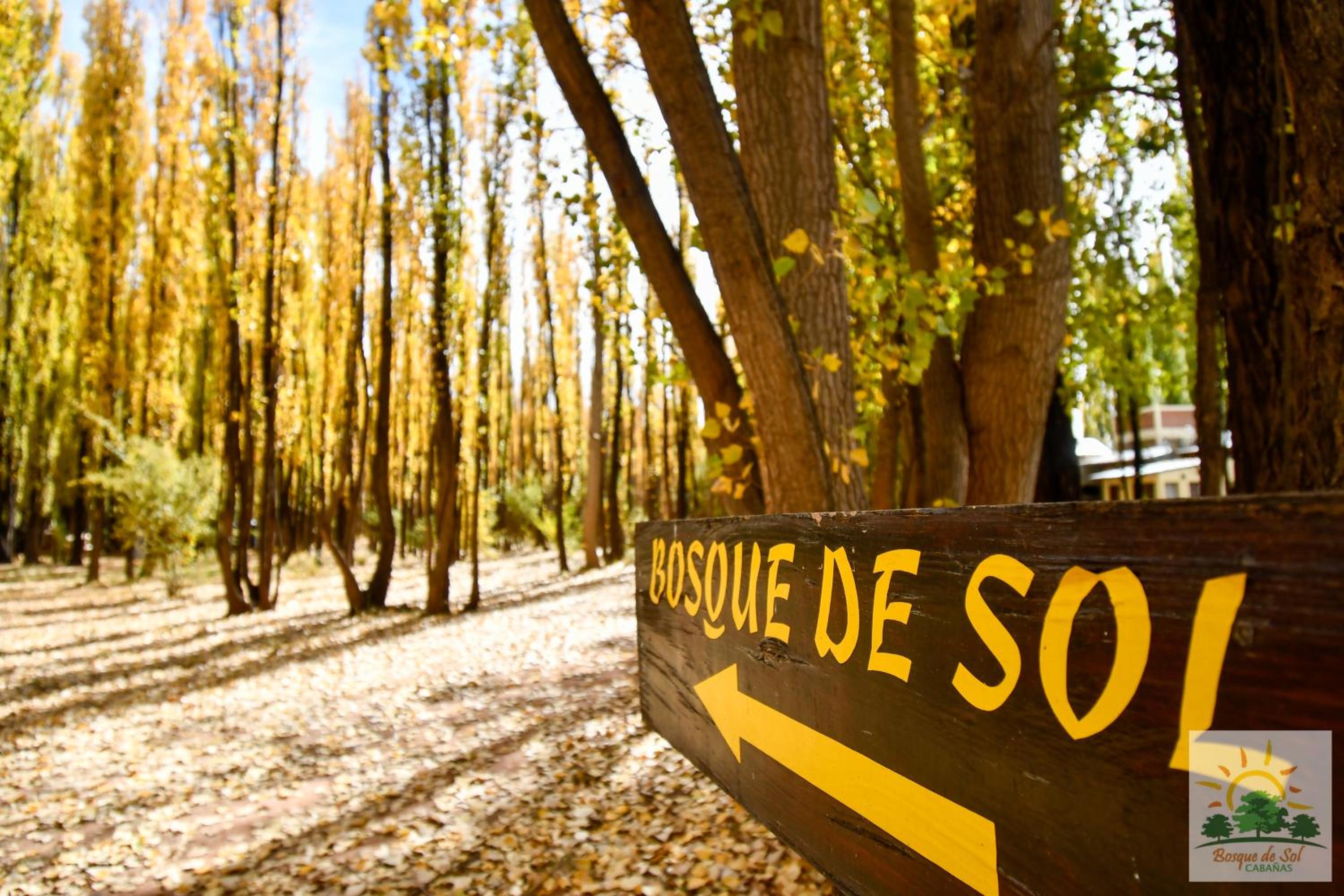 Bosque de Sol cabaña 1