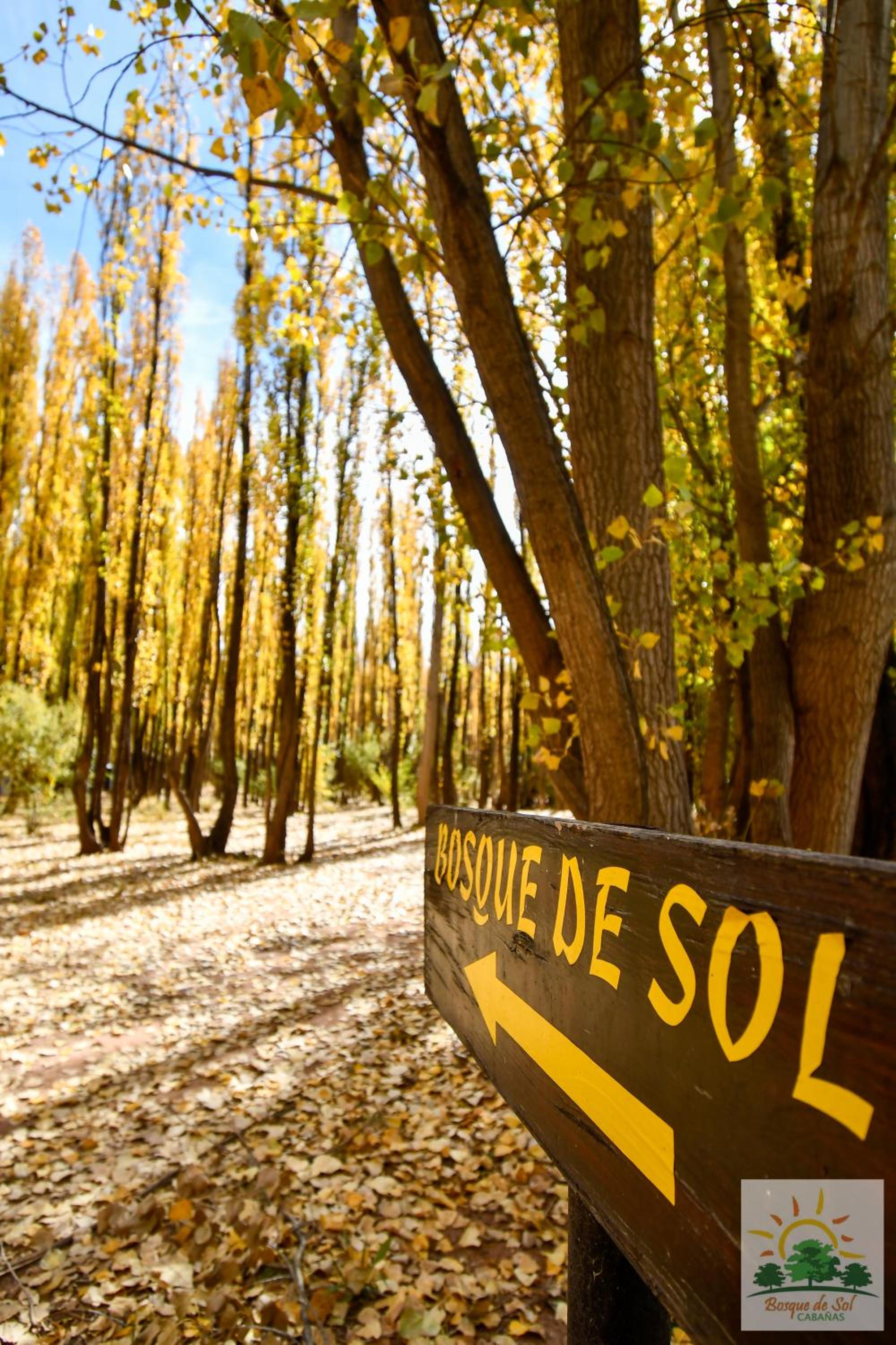 Bosque de Sol cabaña 1