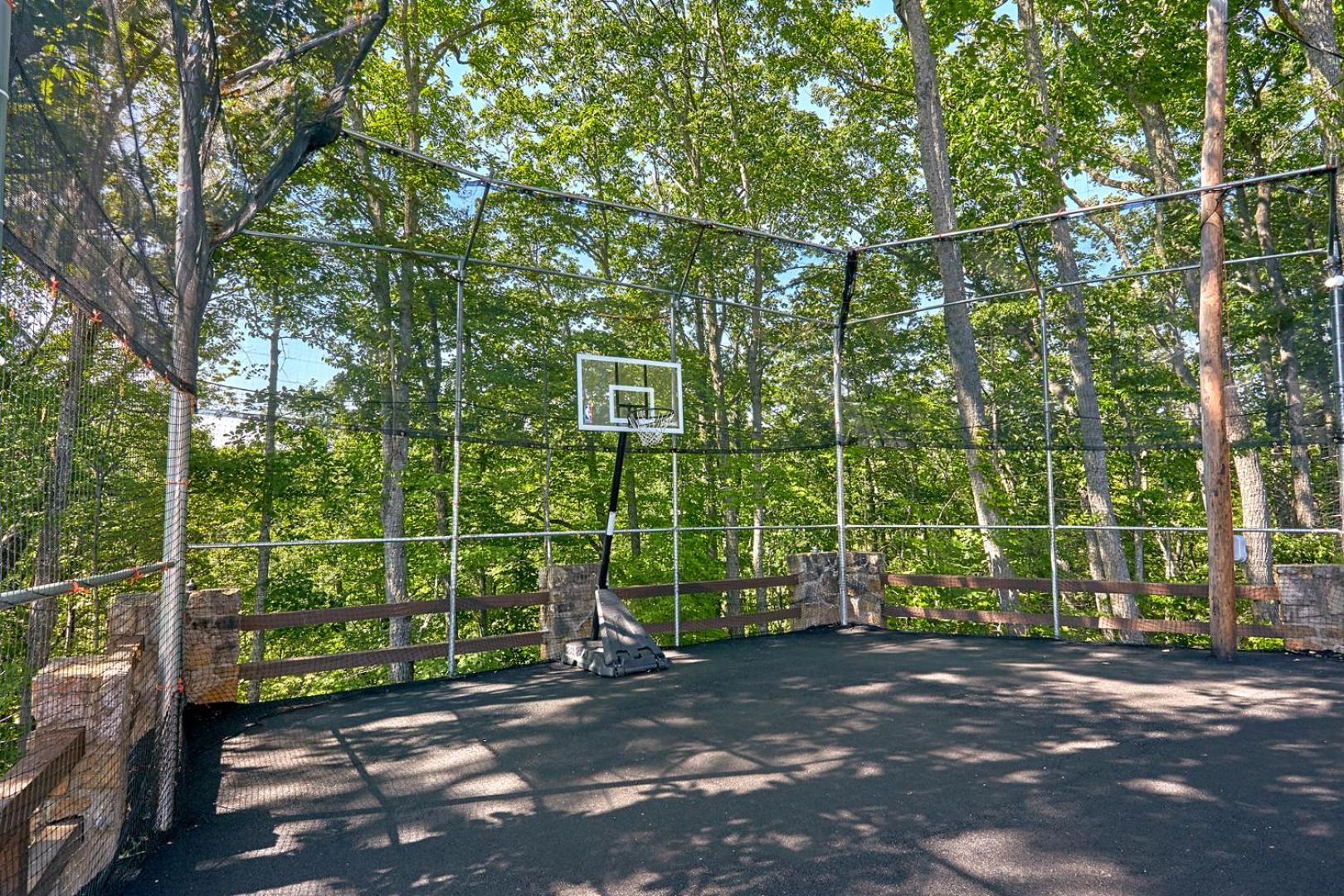 POOL Basketball 6 bdrm Theater Grounds