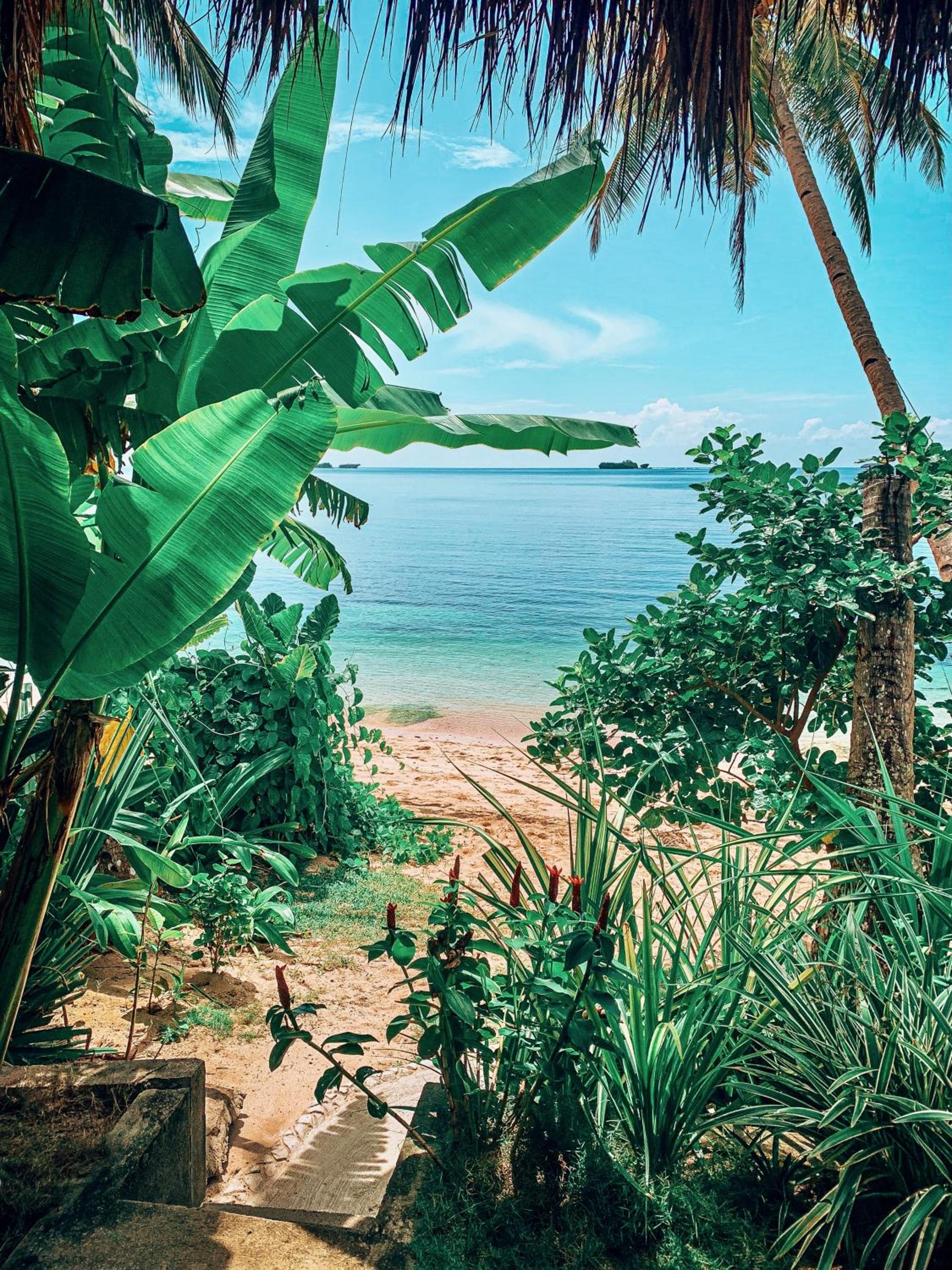ShakaBrah's beachfront cottage