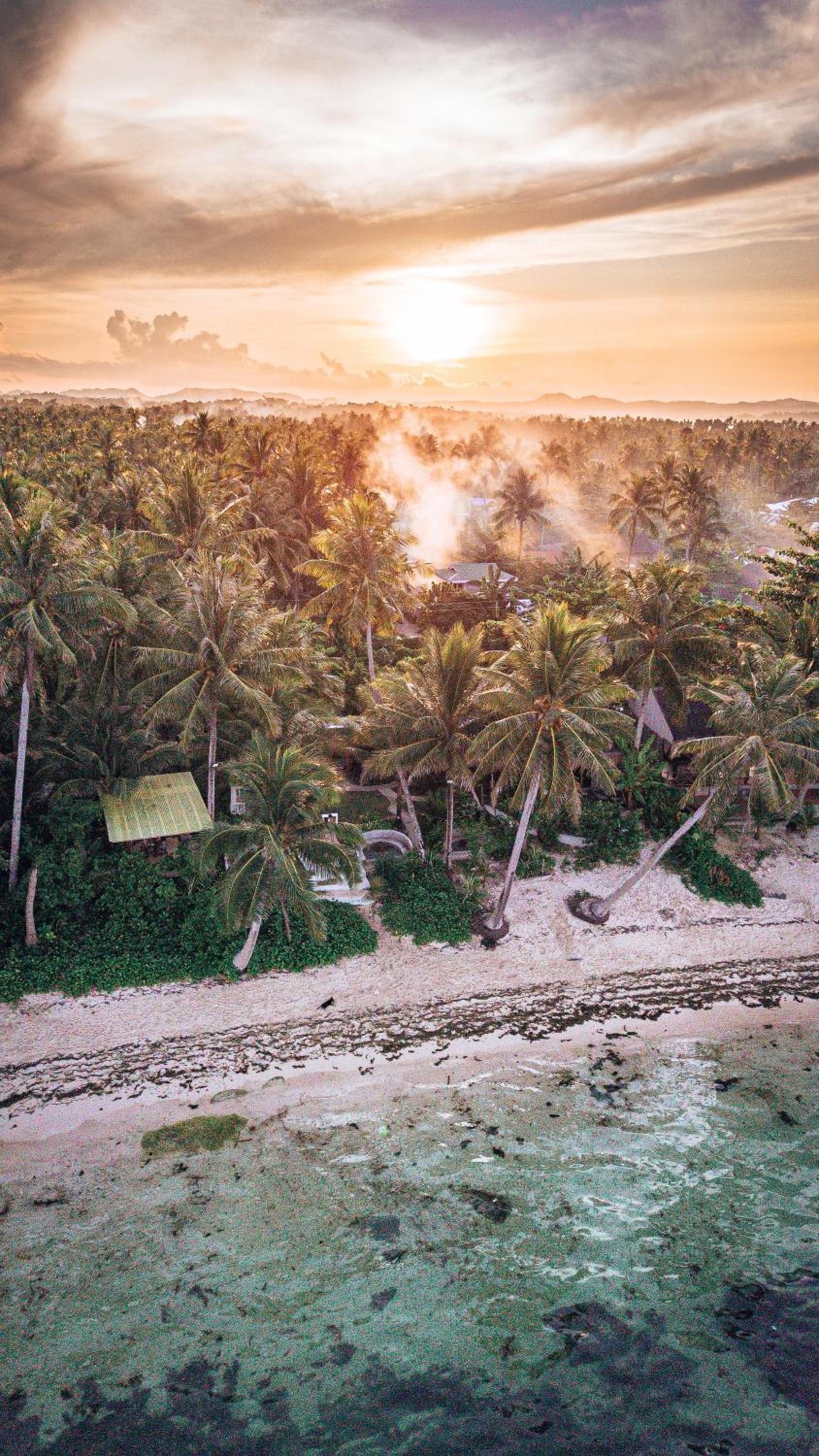 ShakaBrah's beachfront cottage